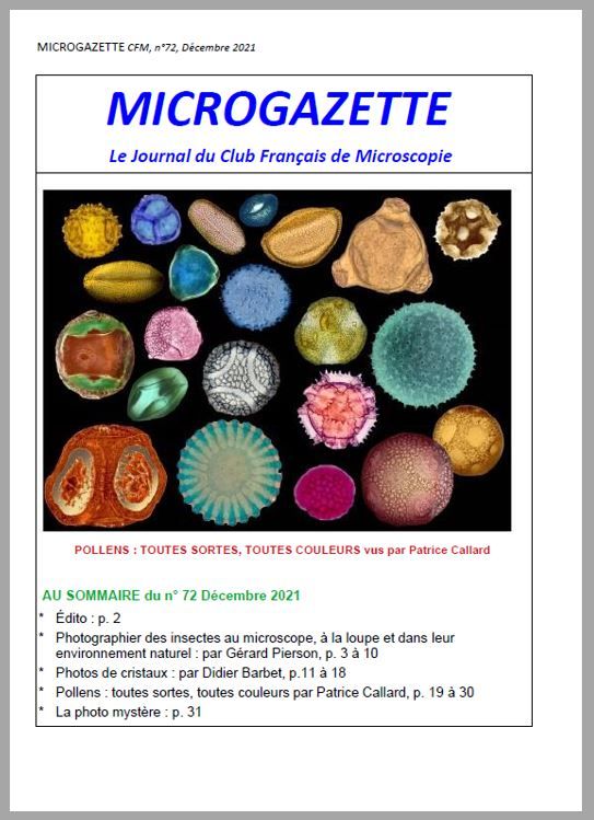 Microgazette-n-72-p01