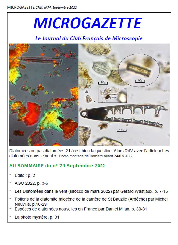Microgazette-n-74-p01