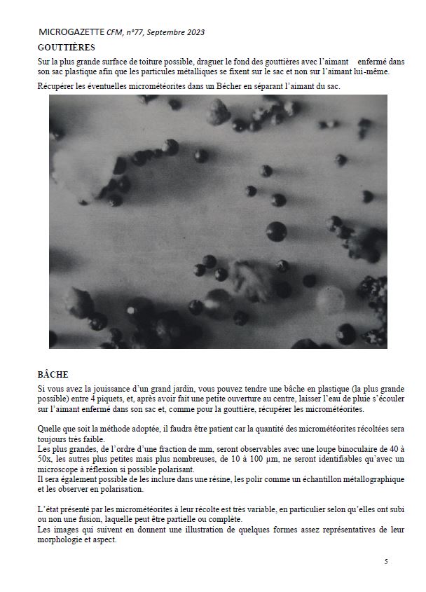 Microgazette-n-77-p05