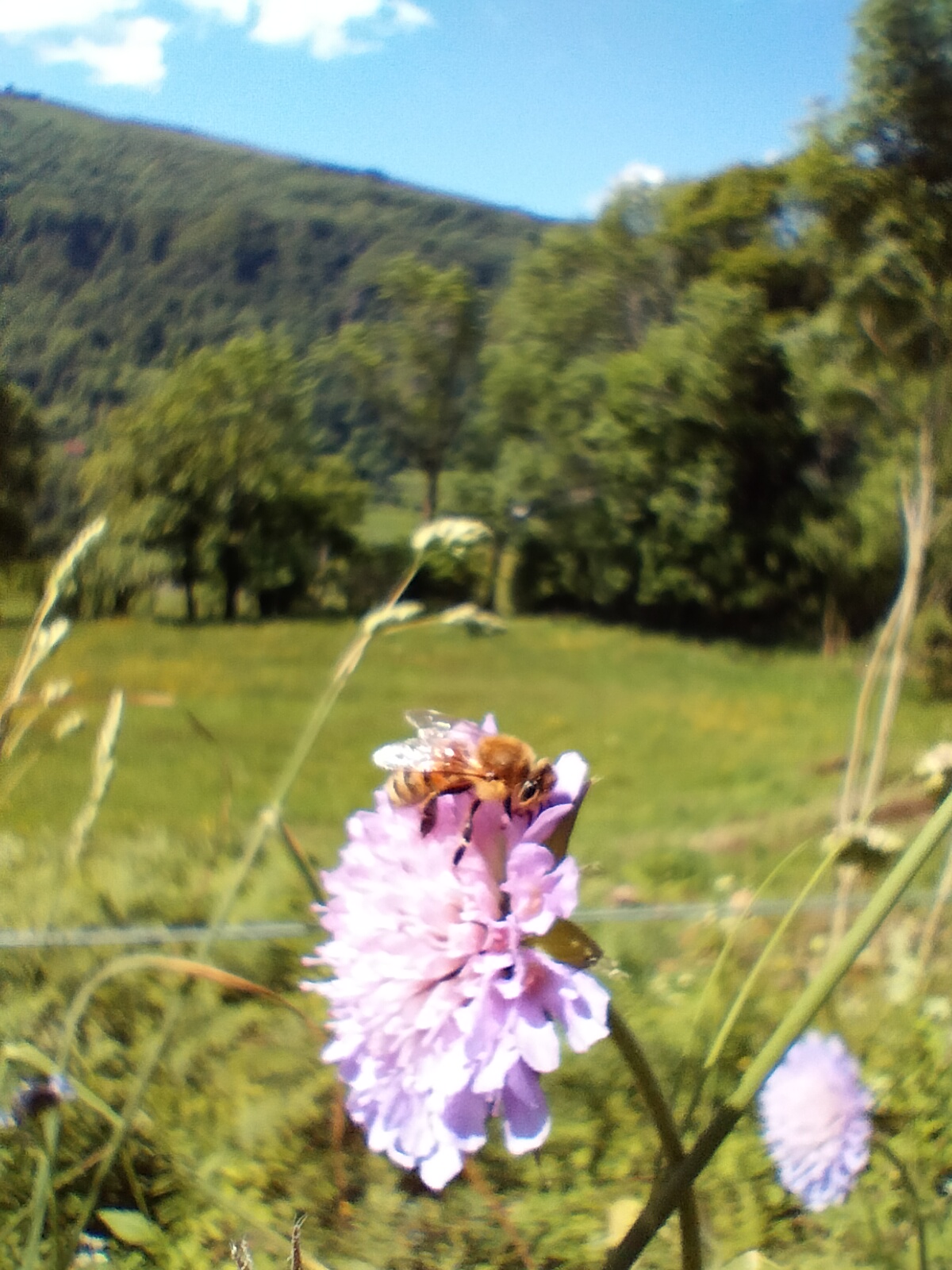 IMG20230531112550-1-