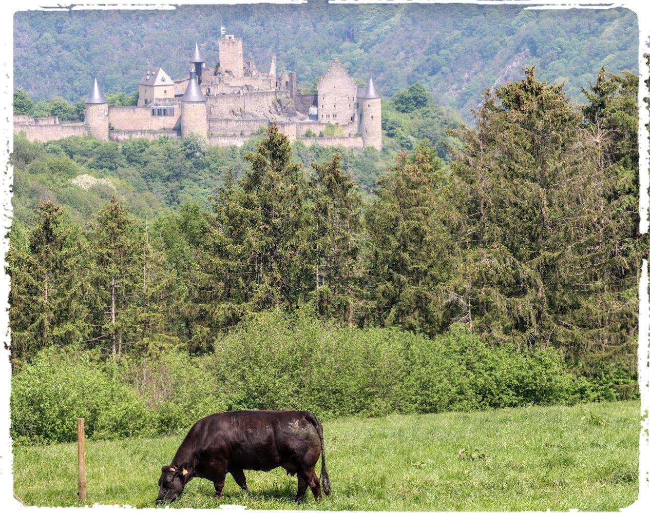 Chateau