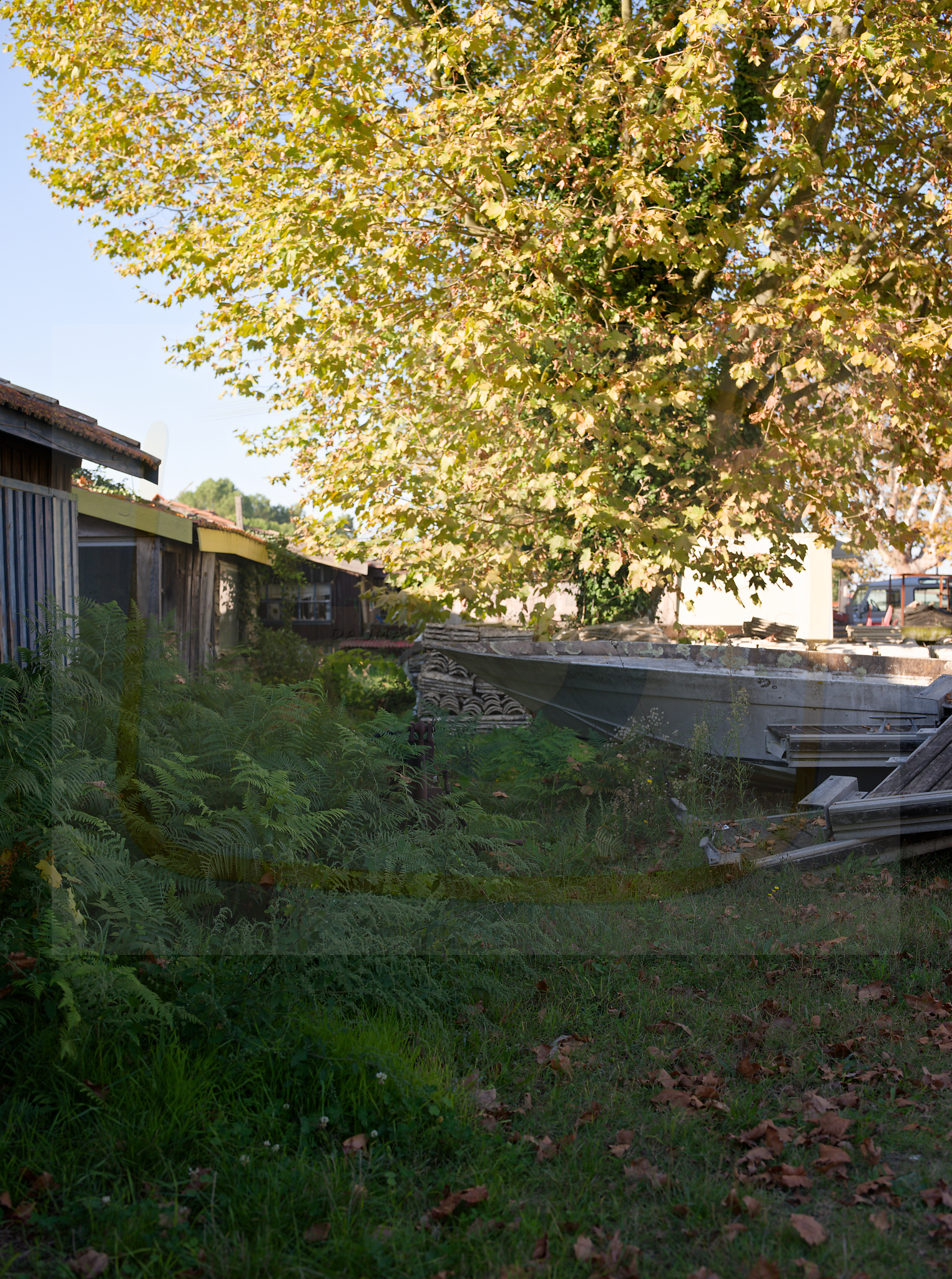 1 dscf5551 dxo 19112025 1