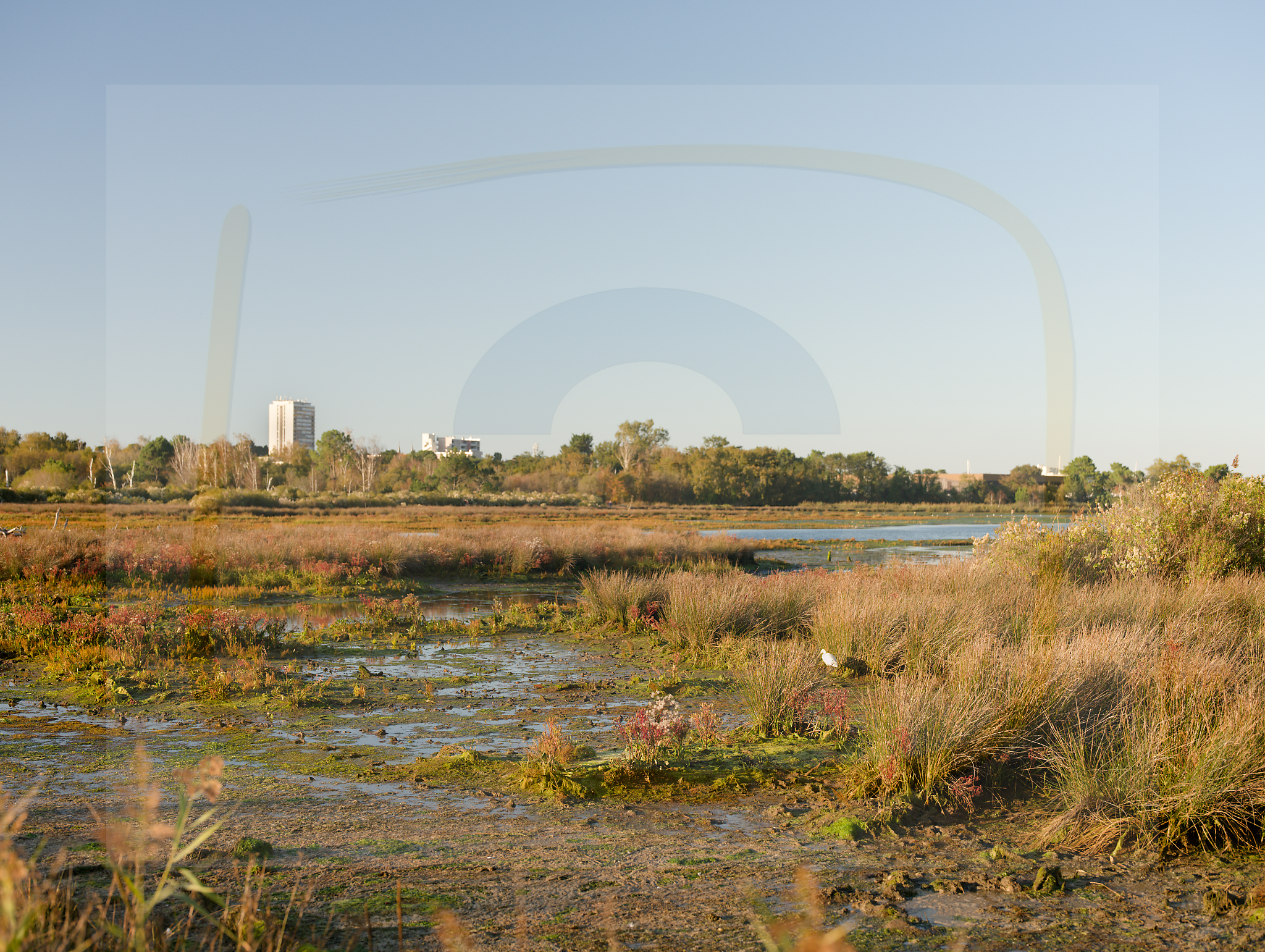 9 dscf5589 dxo 19112025 1