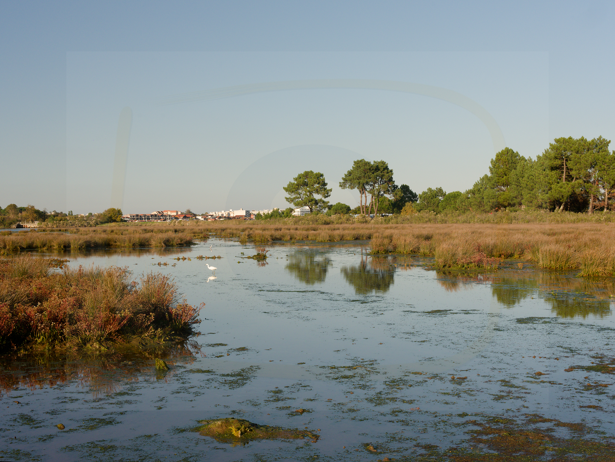 6 dscf5569 dxo 19112025 1