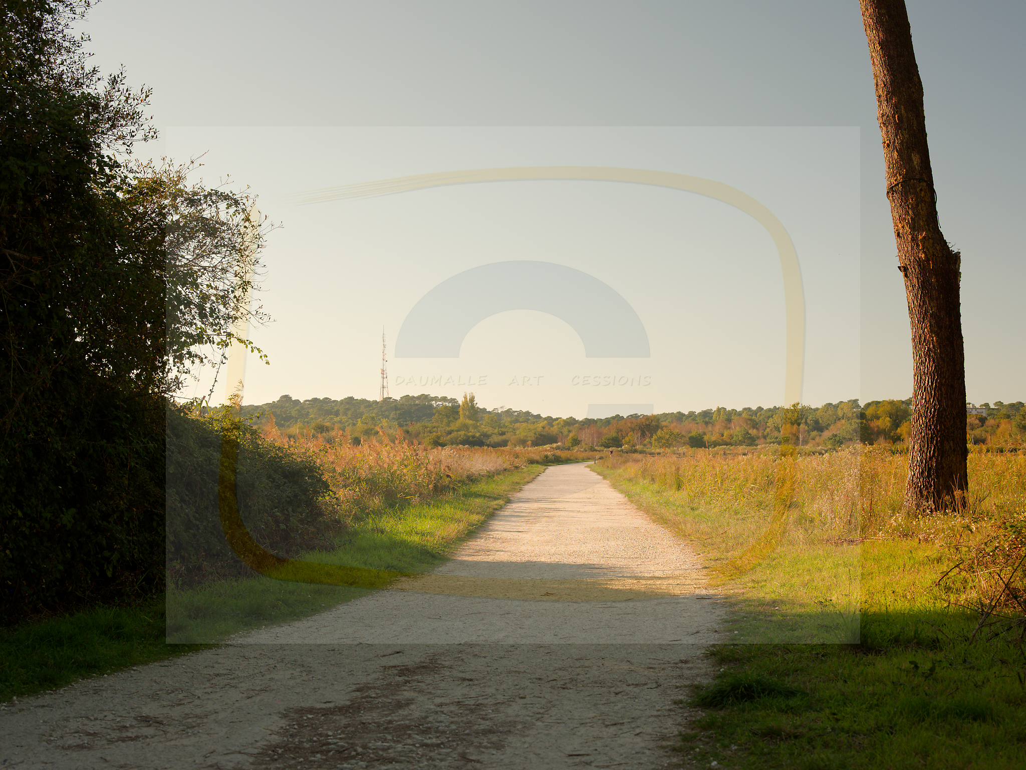 2 dscf5556 dxo 19112025 1