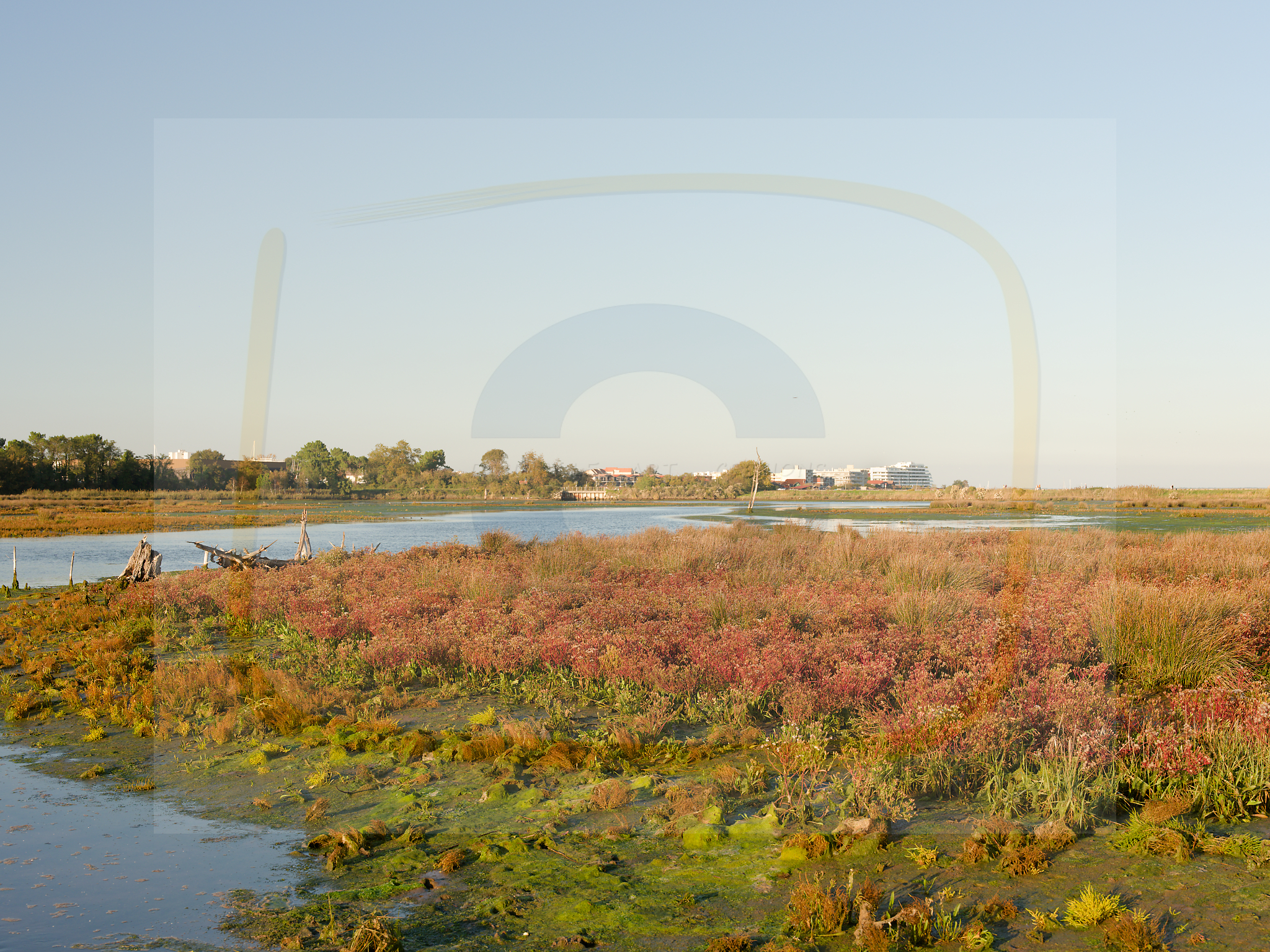 10 dscf5595 dxo 19112025 1