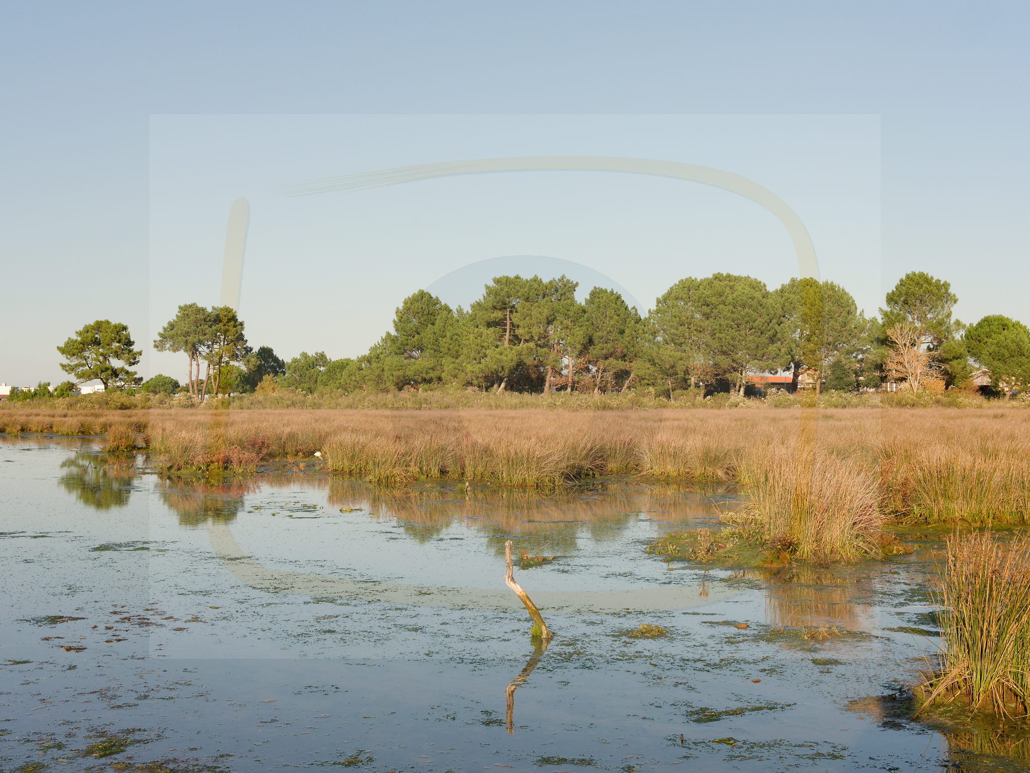 5 dscf5564 dxo 19112025 1