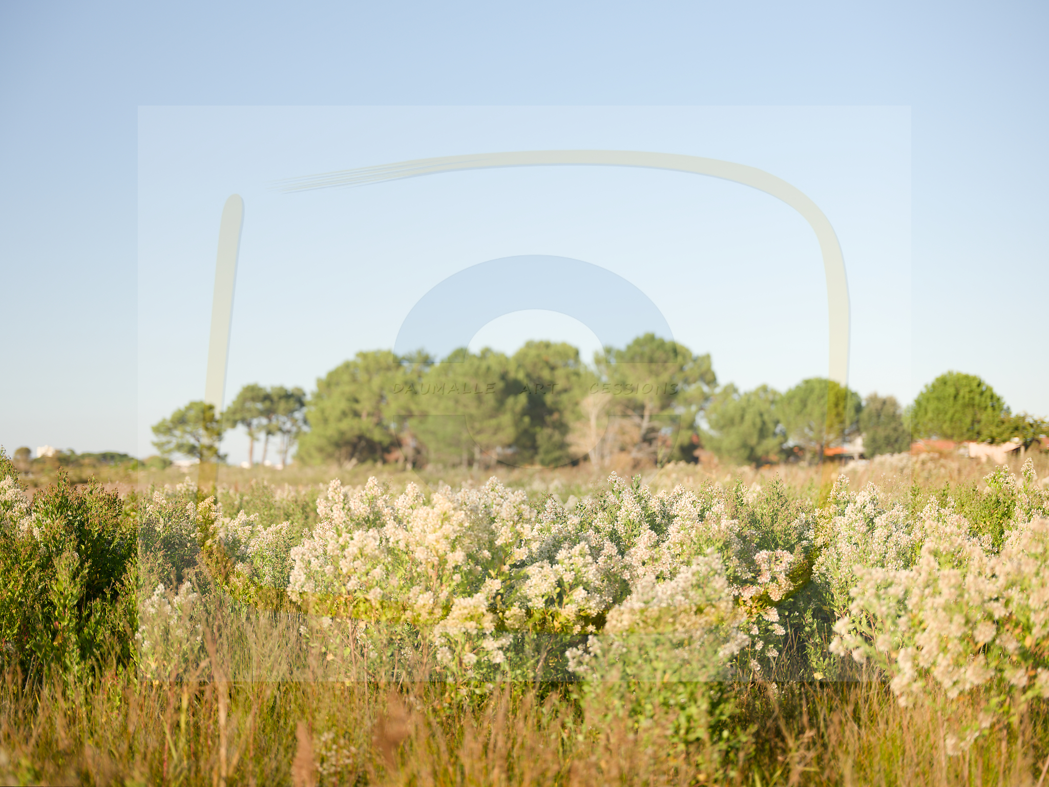 3 dscf5561 dxo 190112025 1