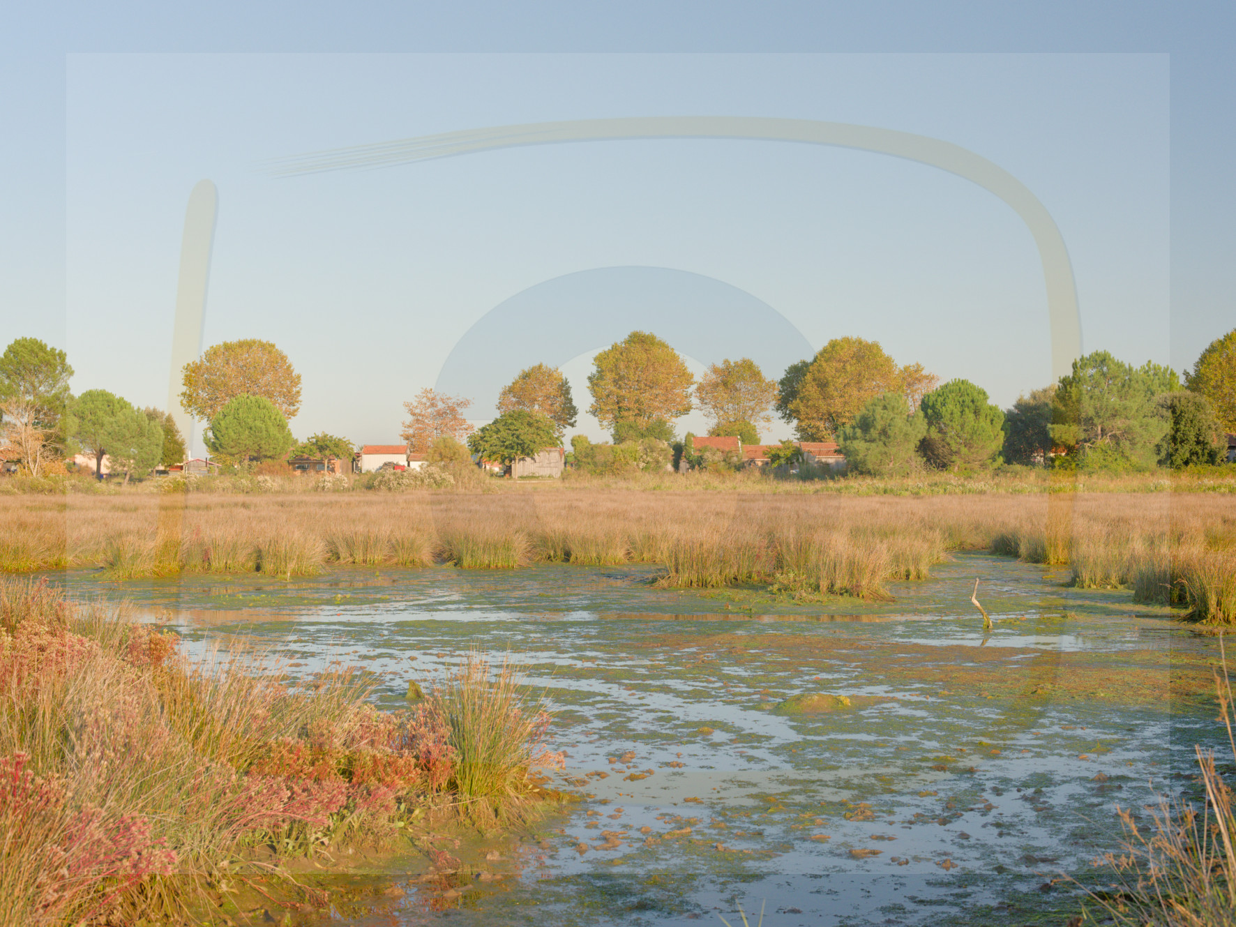 4 dscf5583 dxo 19112025 1