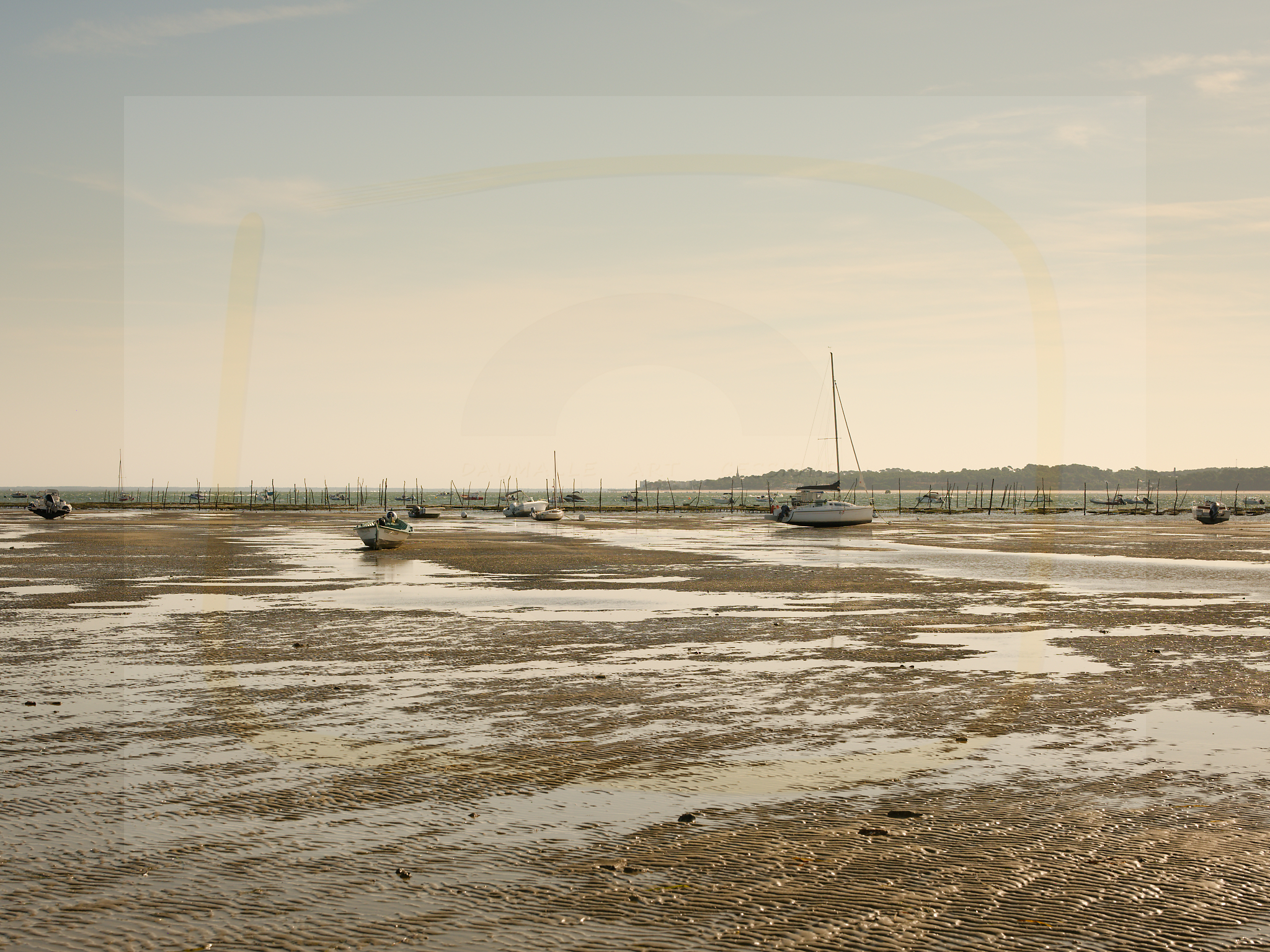 3 dscf5331 dxo 22112025