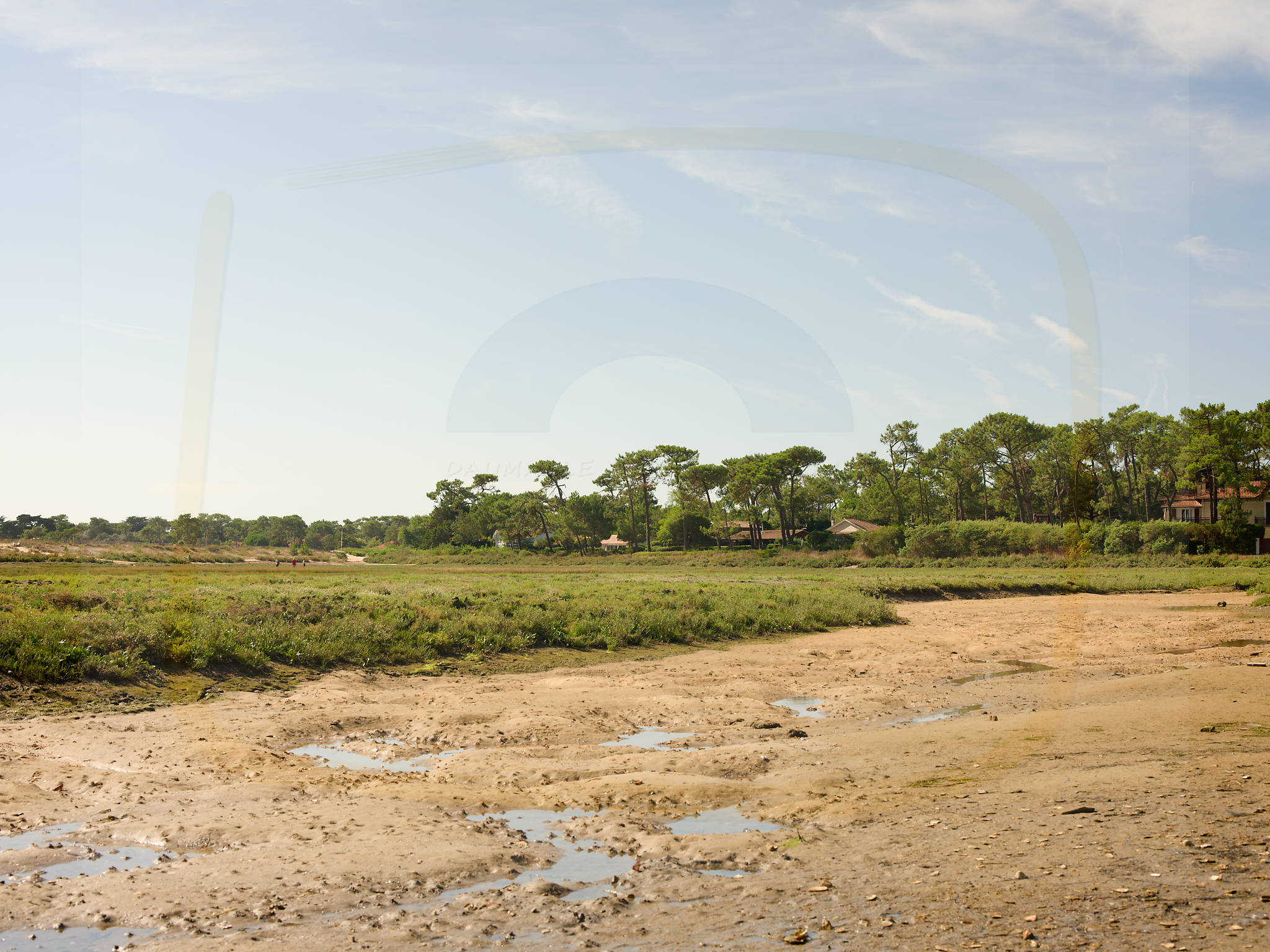 10 dscf5378 dxo 22112025