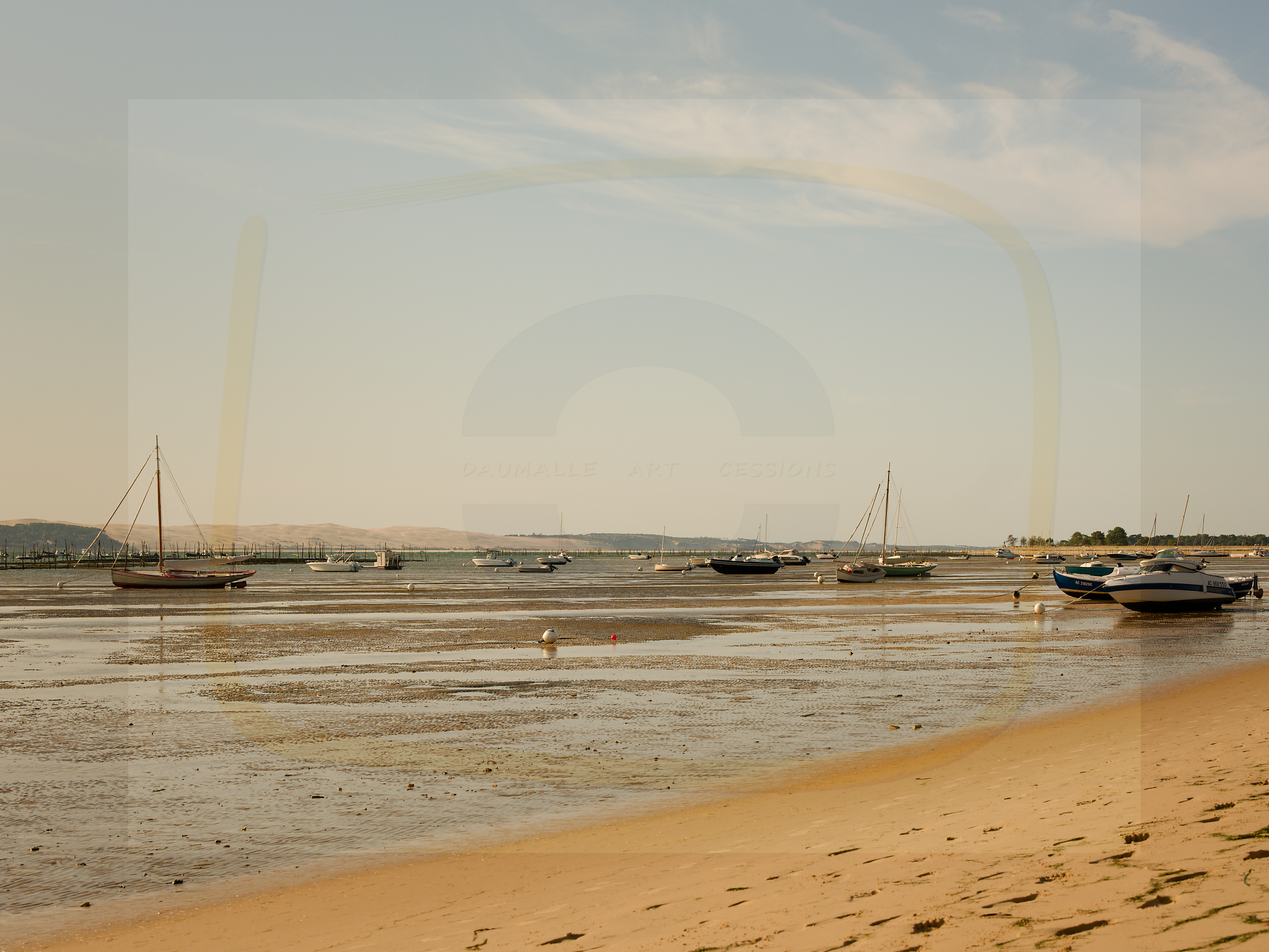 1 dscf5315 dxo 22112025