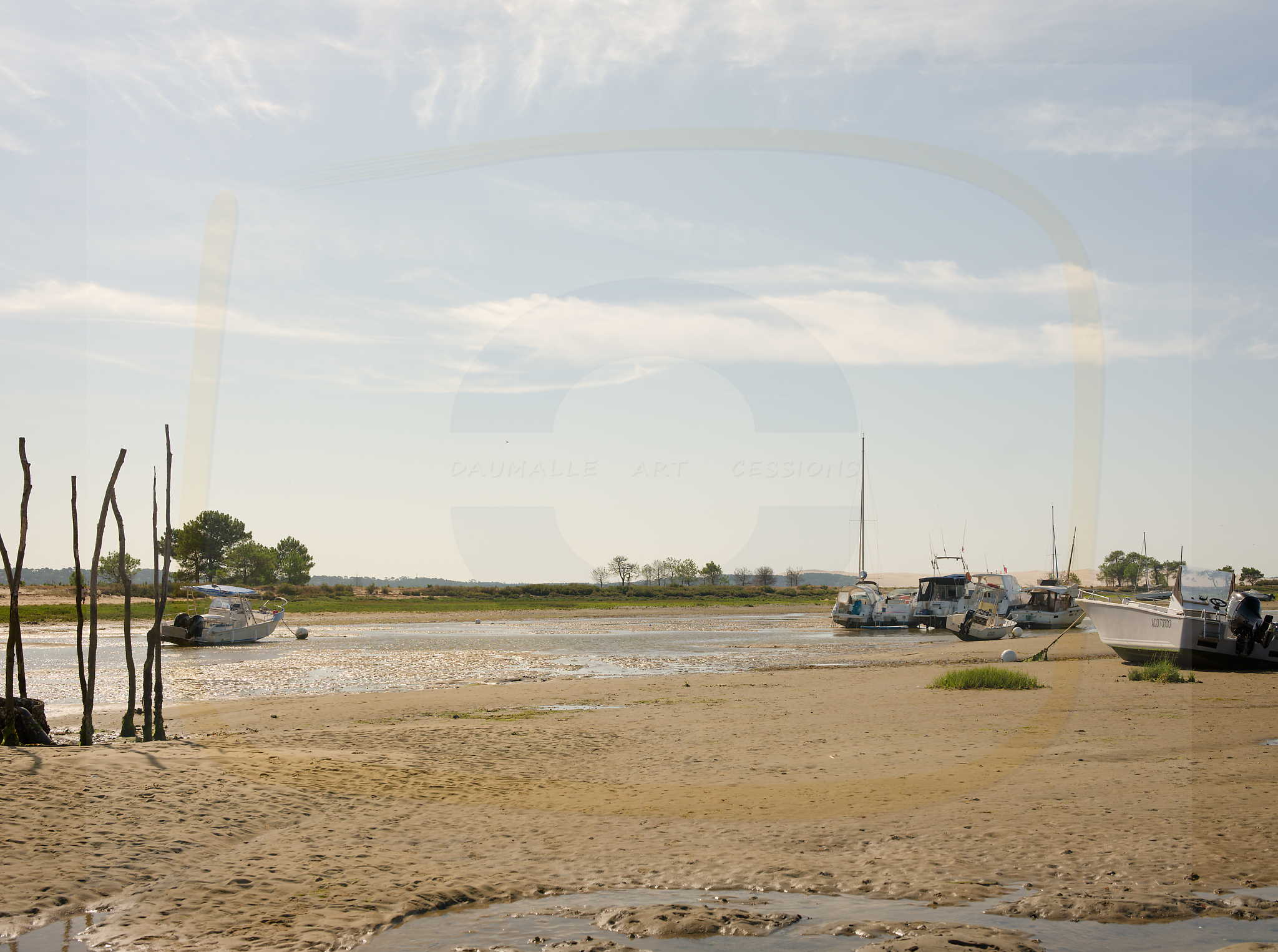 9 dscf5367 dxo 22112025