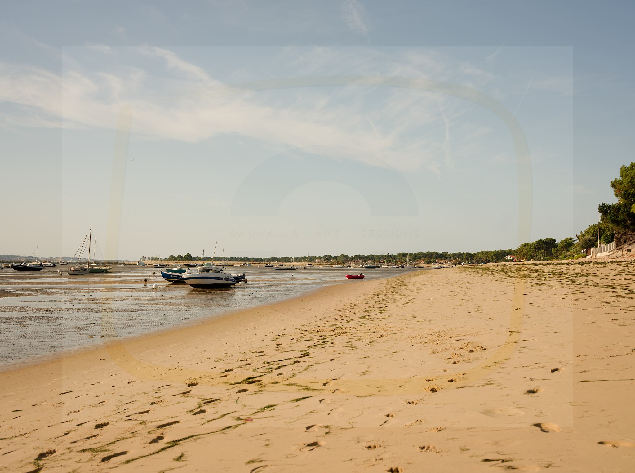 2 dscf5317 dxo 22112025