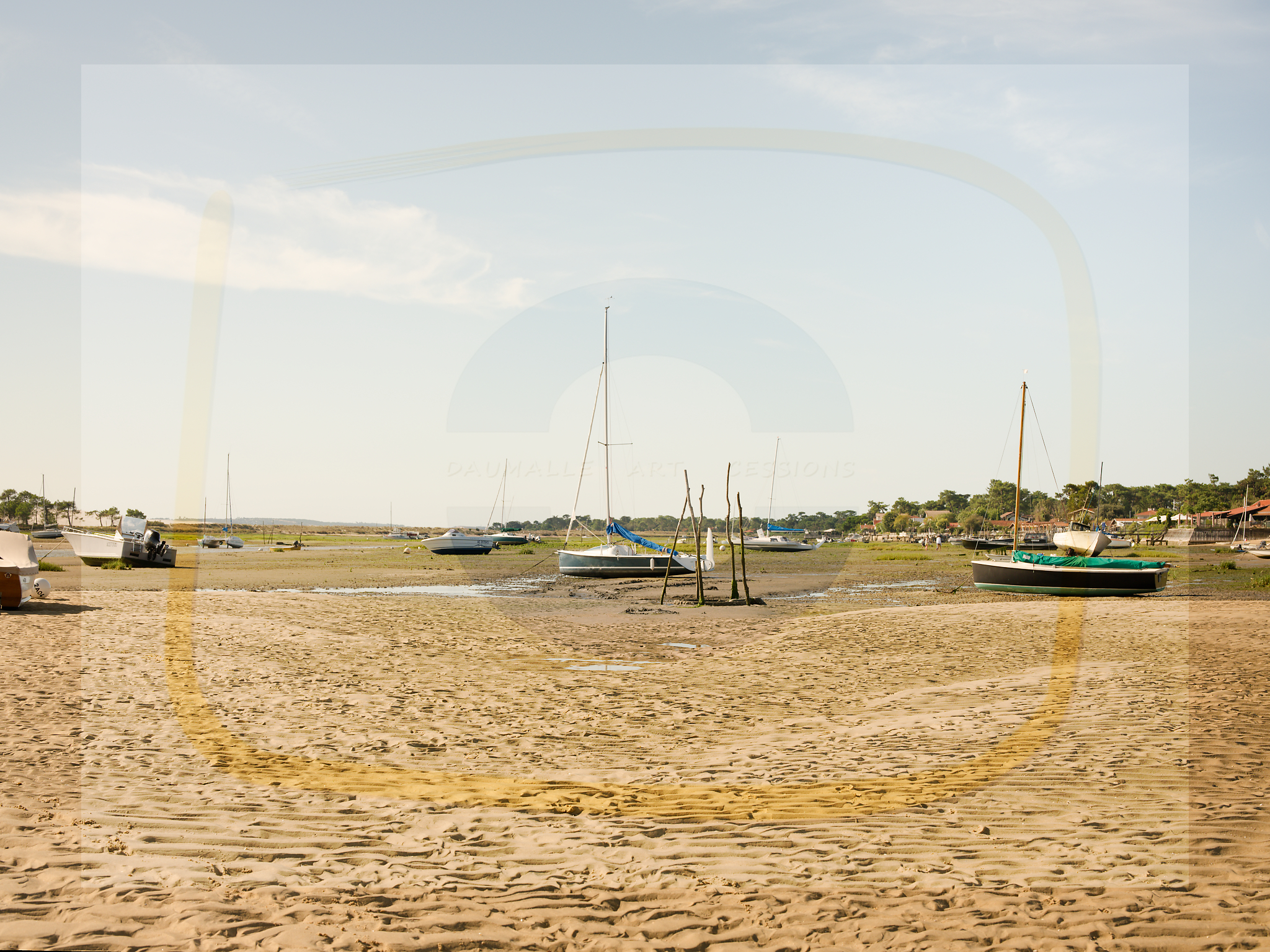 6 dscf5349 dxo 22112025