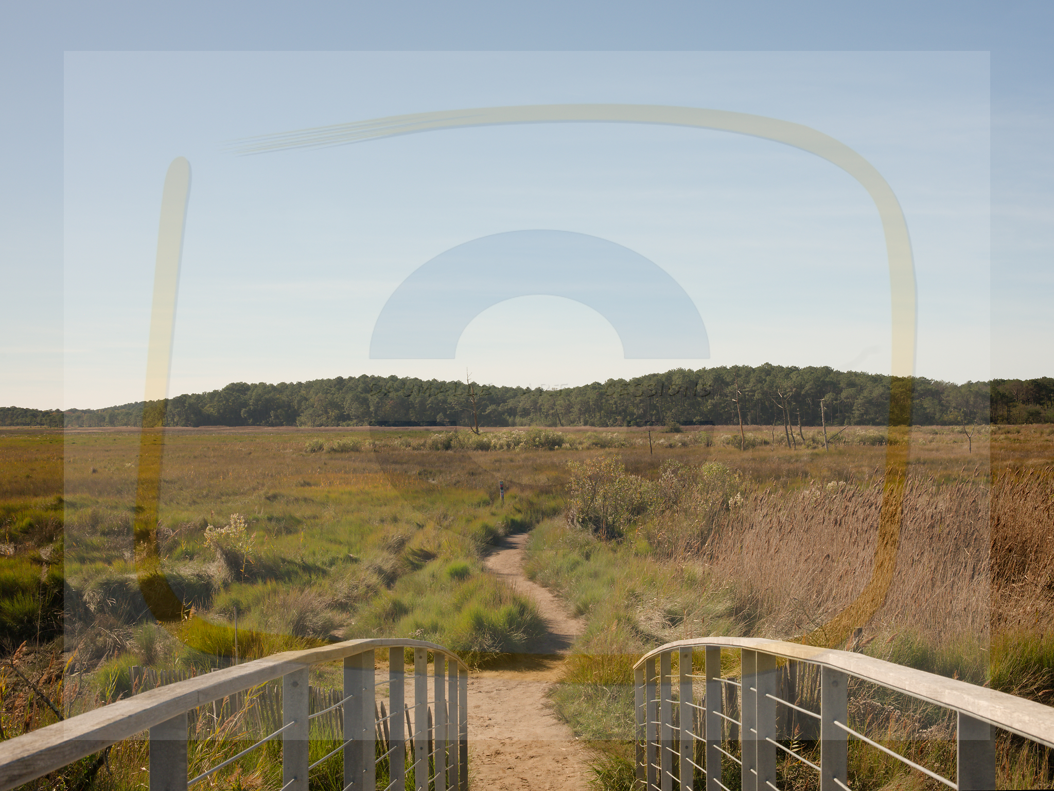 14 dscf5763 dxo 20122025 1