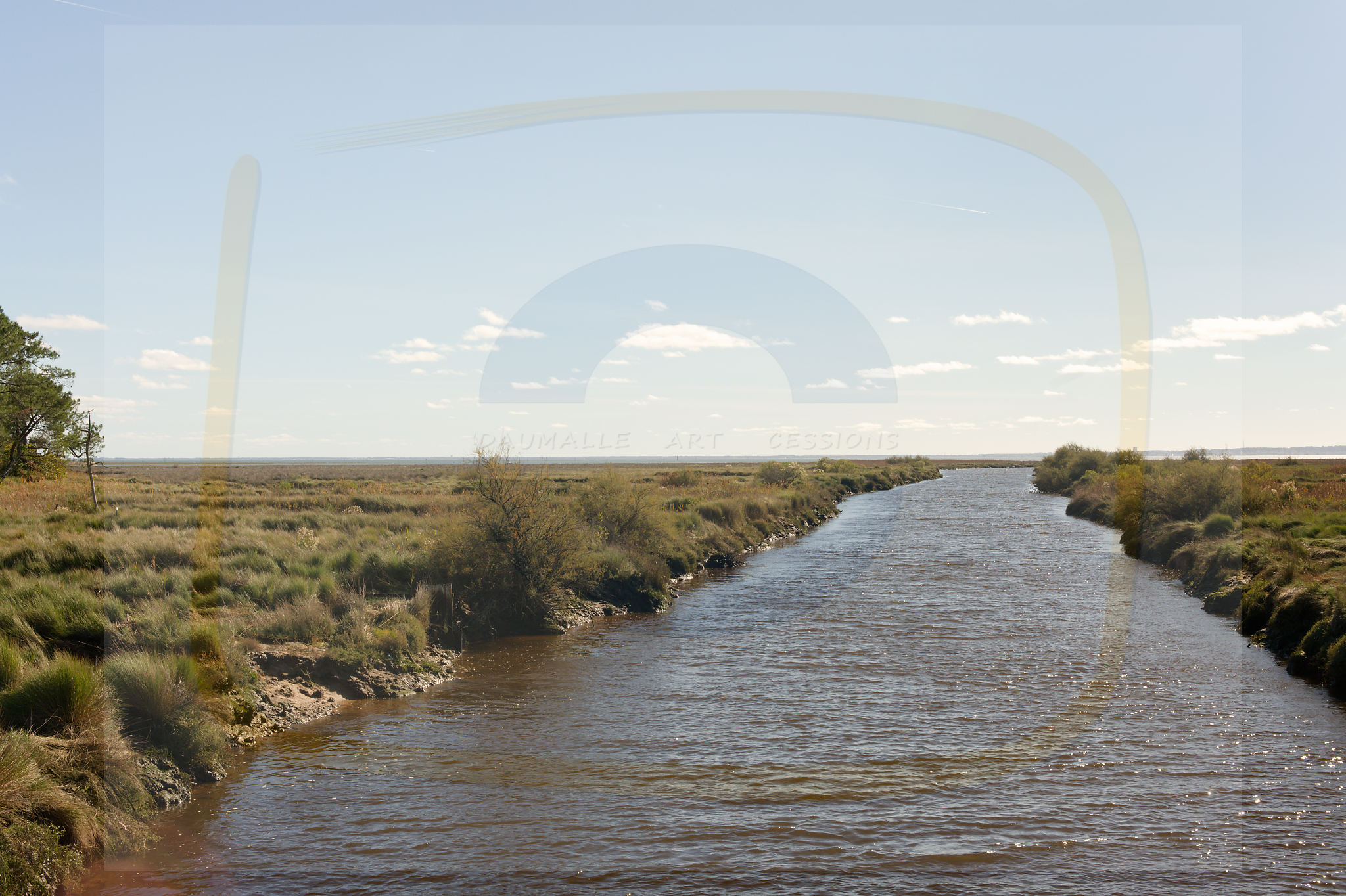 13 dscf5750 dxo 20122025 1