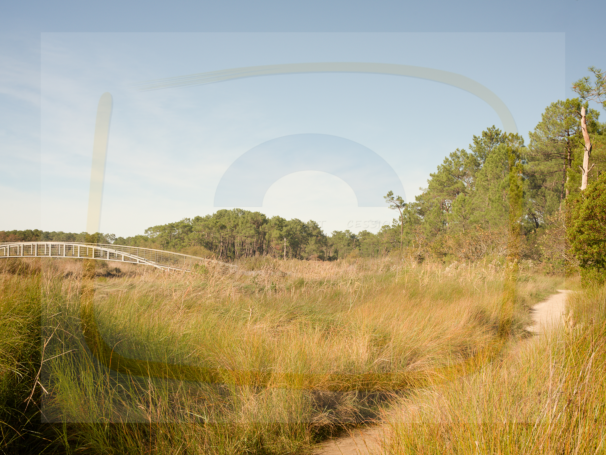 12 dscf5746 dxo 20122025 1