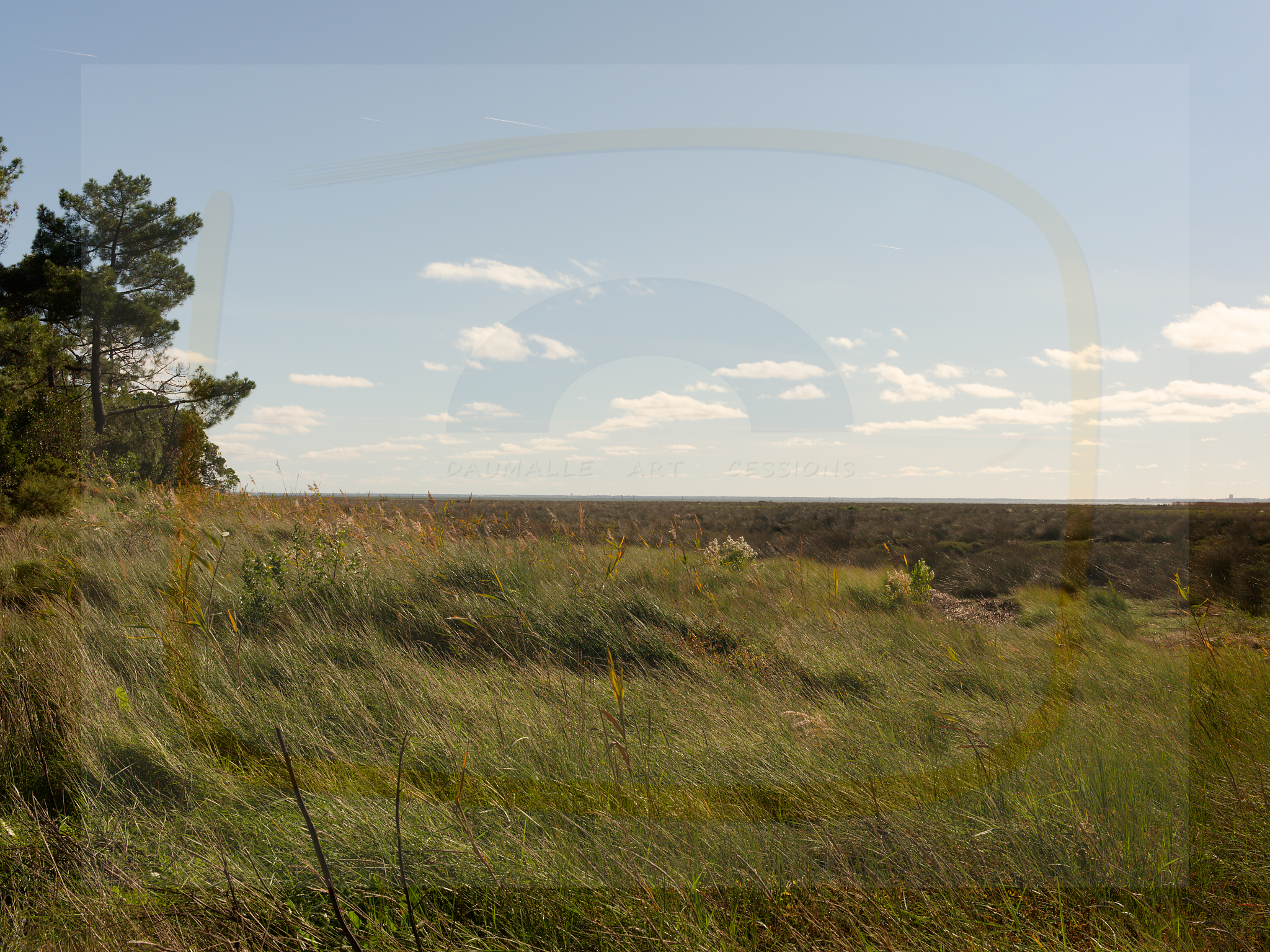 11 dscf5741 dxo 20122025 1