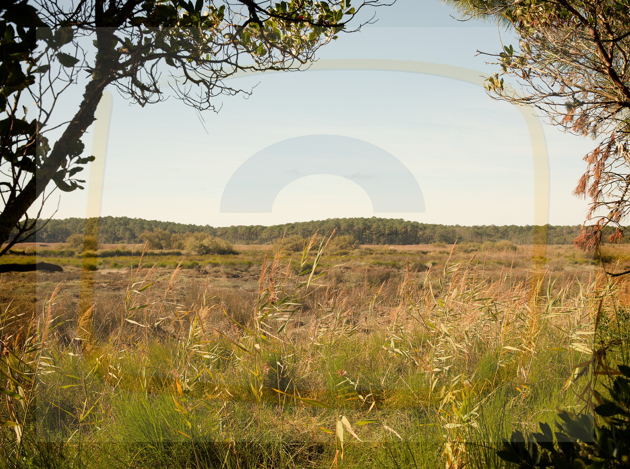 10 dscf5731 dxo 20122025 1