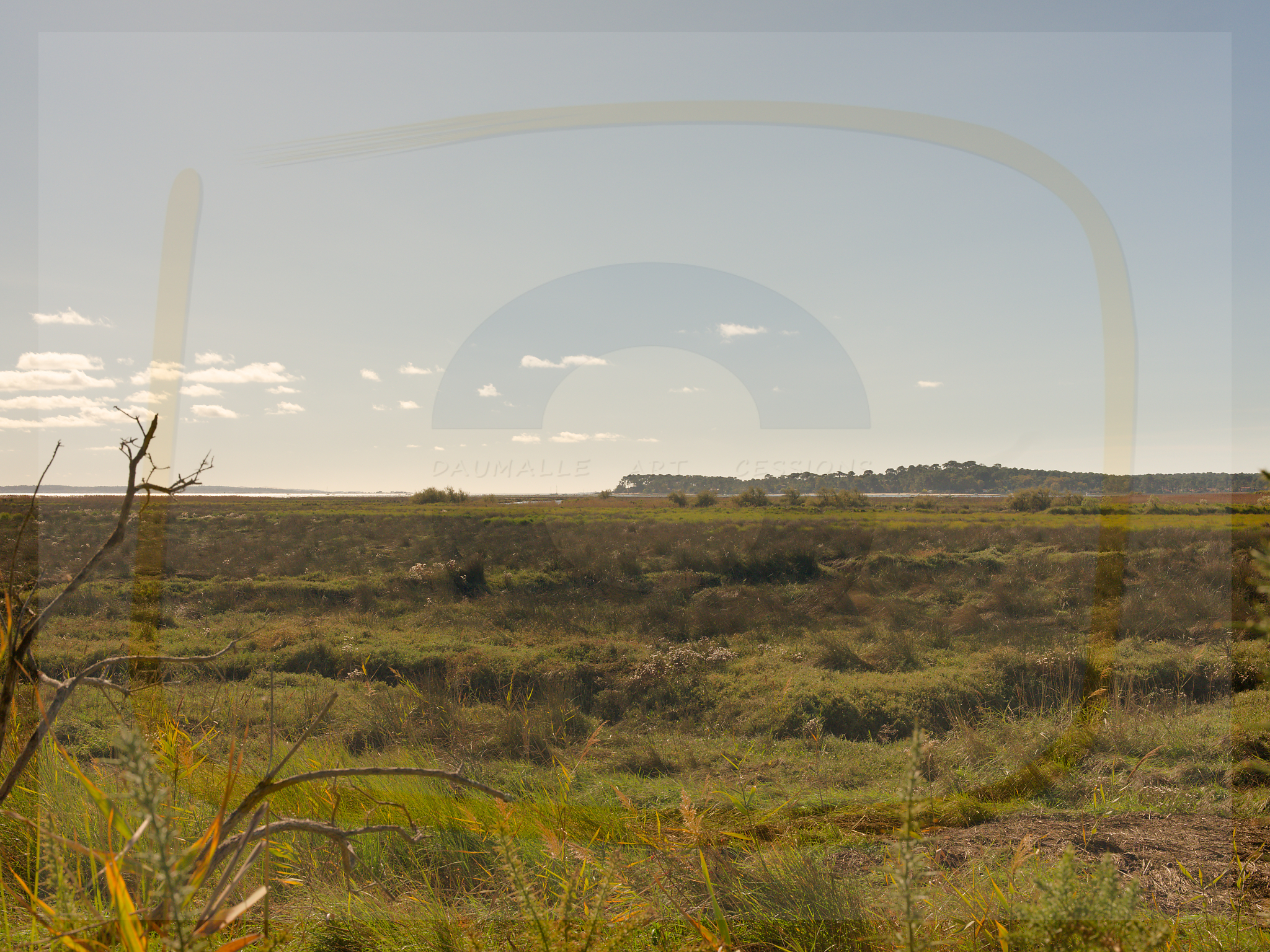 9 dscf5730 dxo 20122025 1