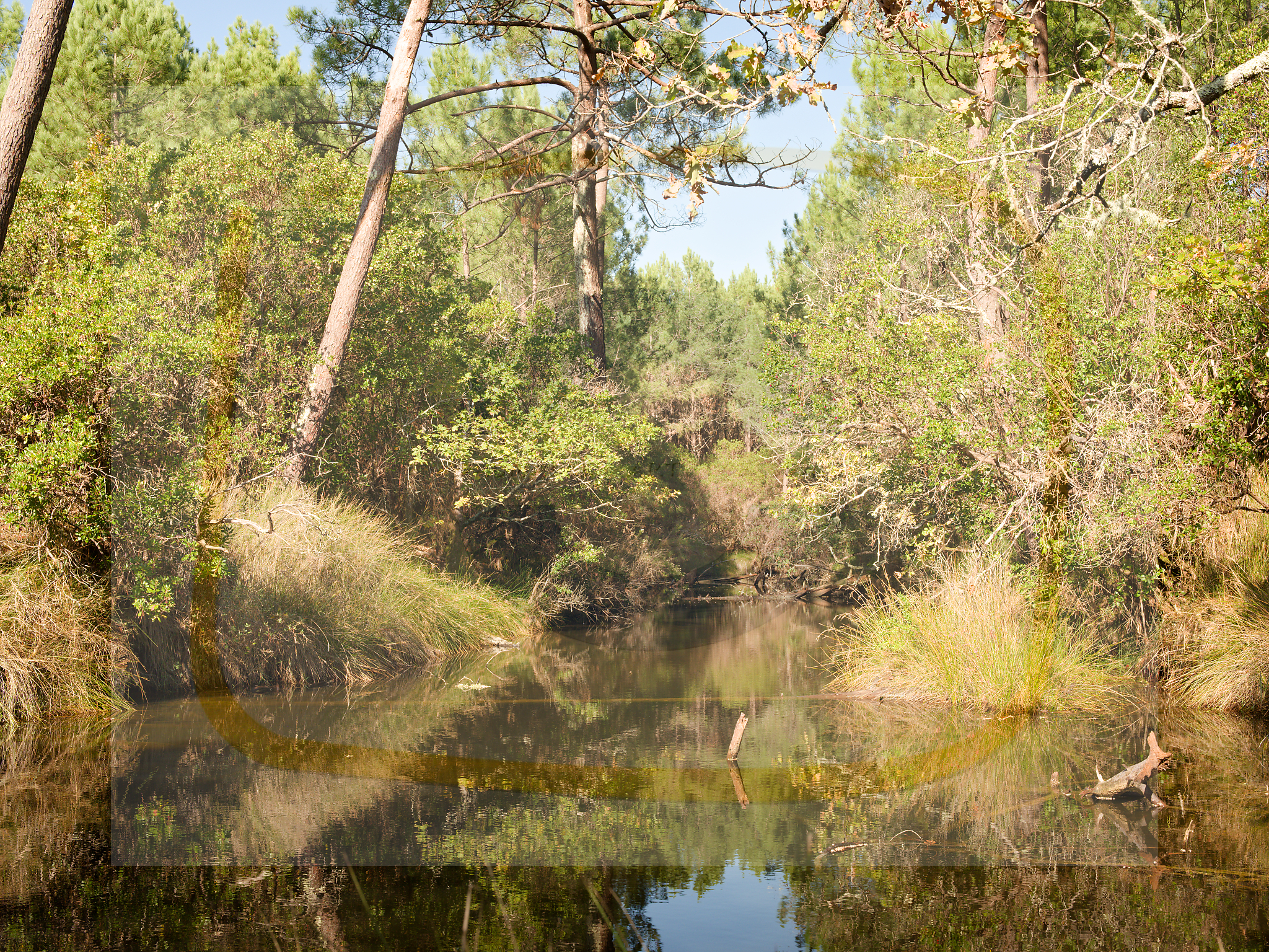 8 dscf5725 dxo 20122025 1