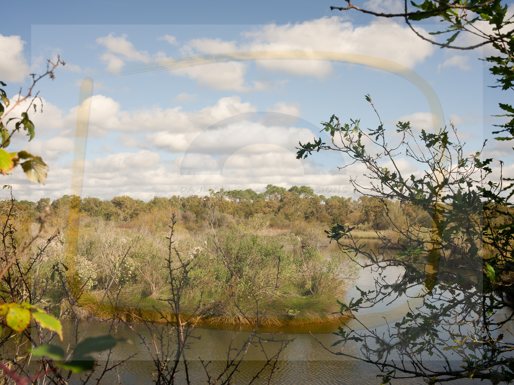 7 dscf5706 dxo 20122025 1