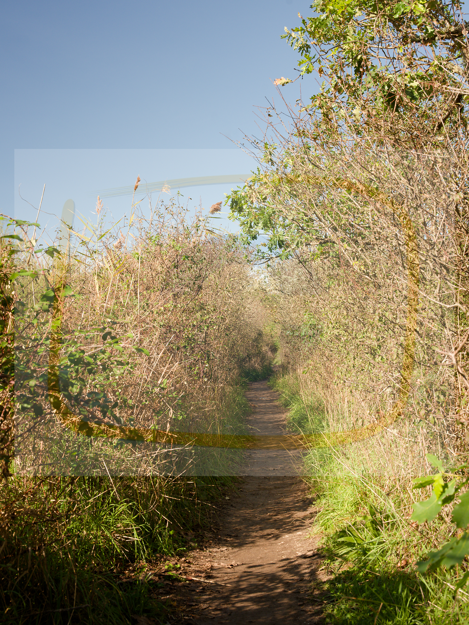 6 dscf5705 dxo 06122025 1