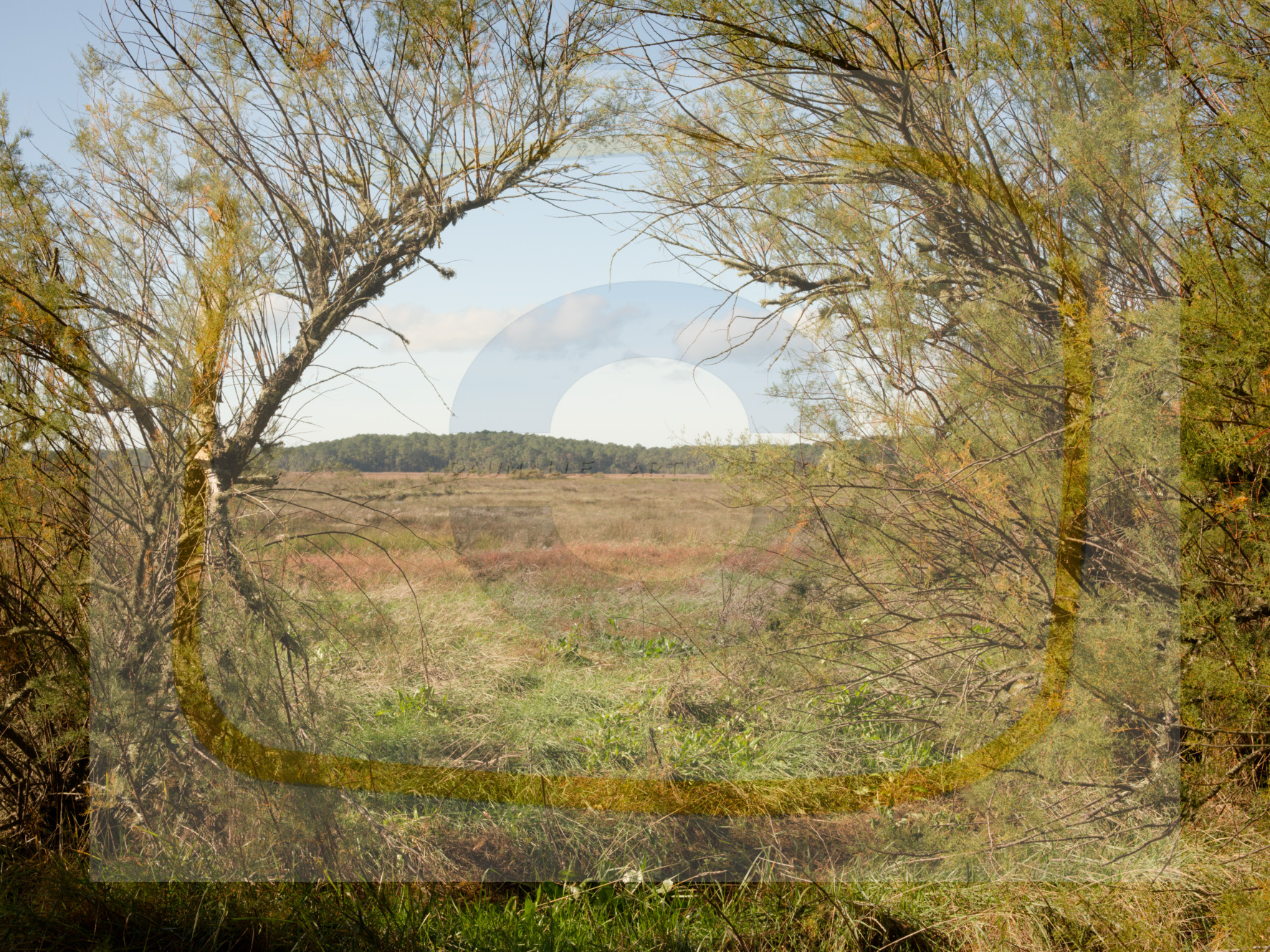 5 dscf5704 dxo 20122025 1