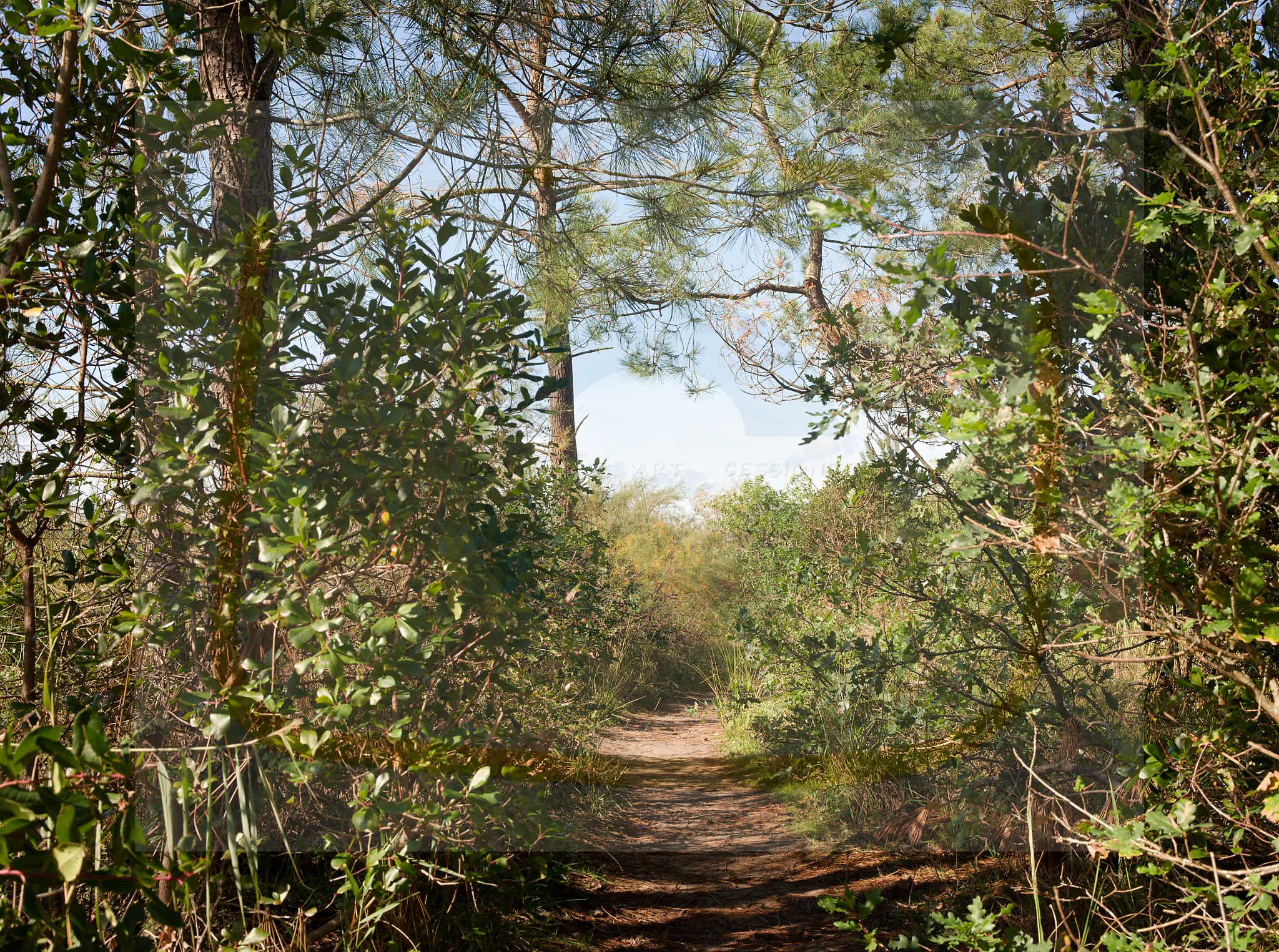 4 dscf5700 dxo 06122025 1