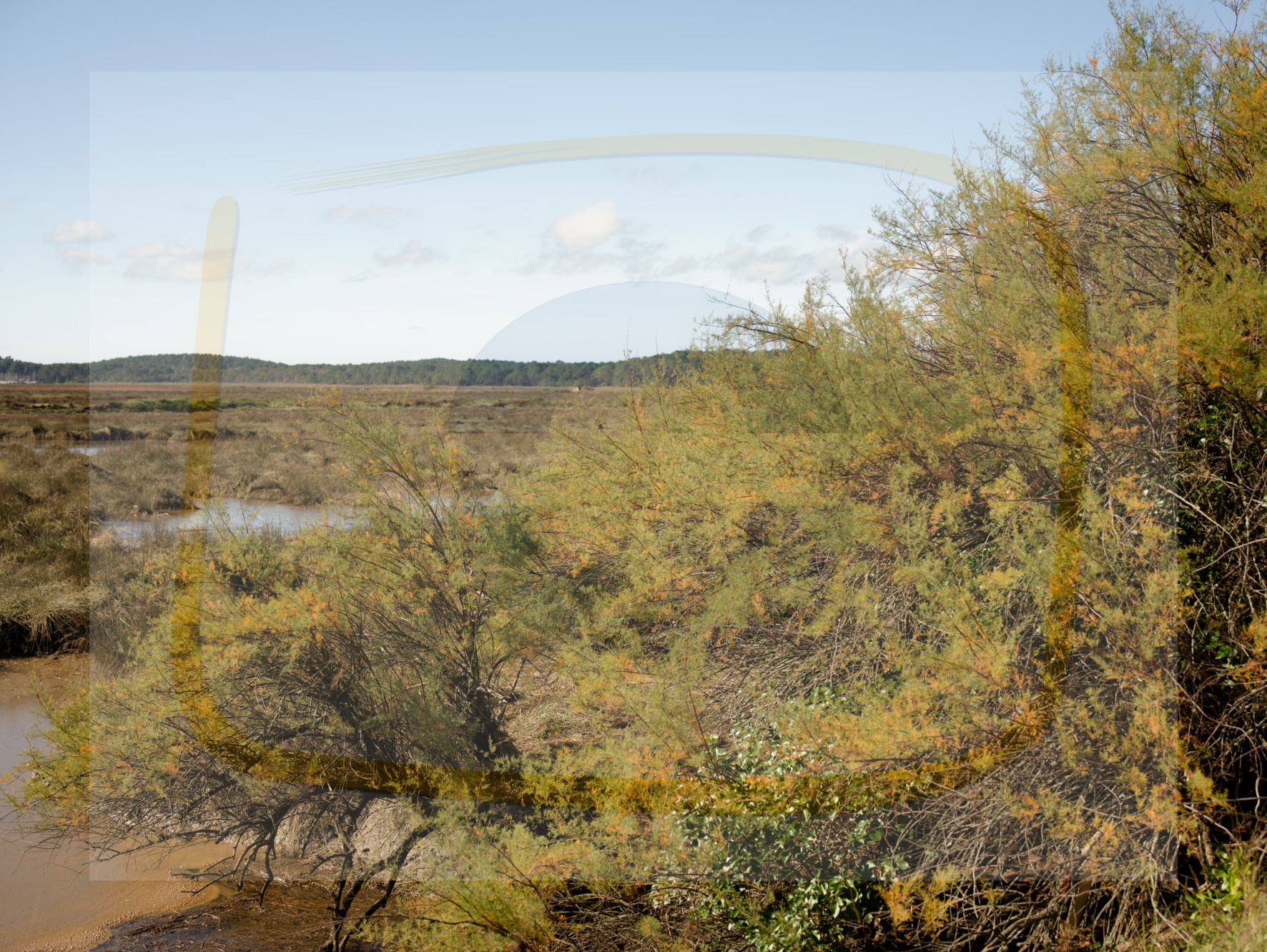 3 dscf5697 dxo 06122025 1