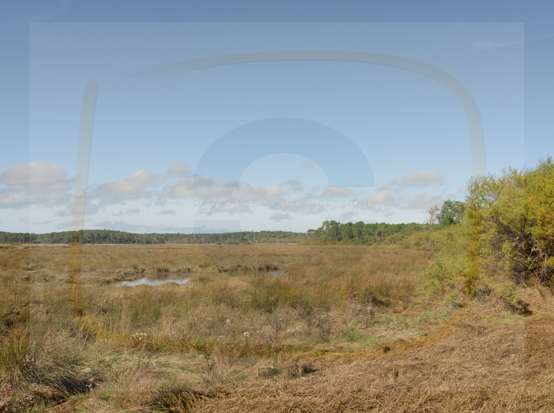 1 dscf5679 dxo 06122025 1