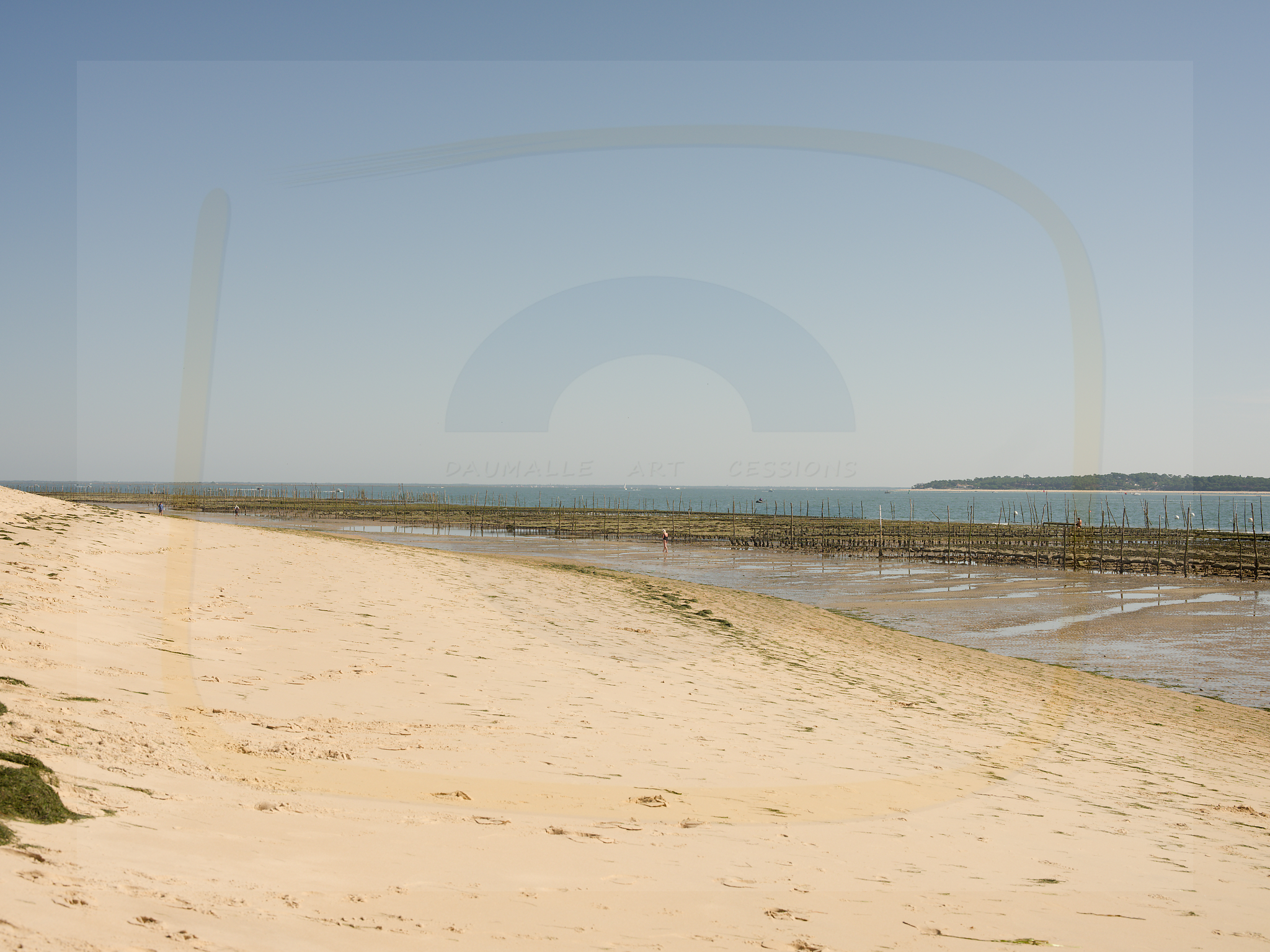 12 dscf5392 dxo 22112025