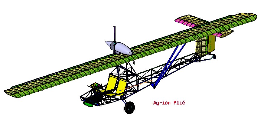 Agrion Basic plie