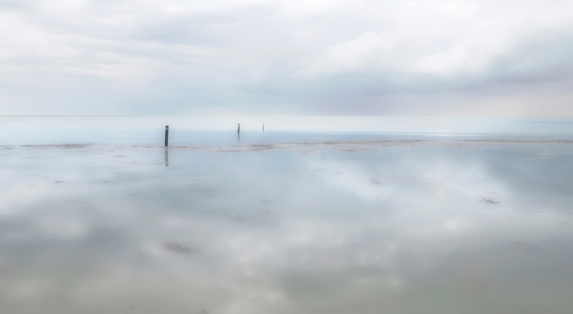 Brouillard