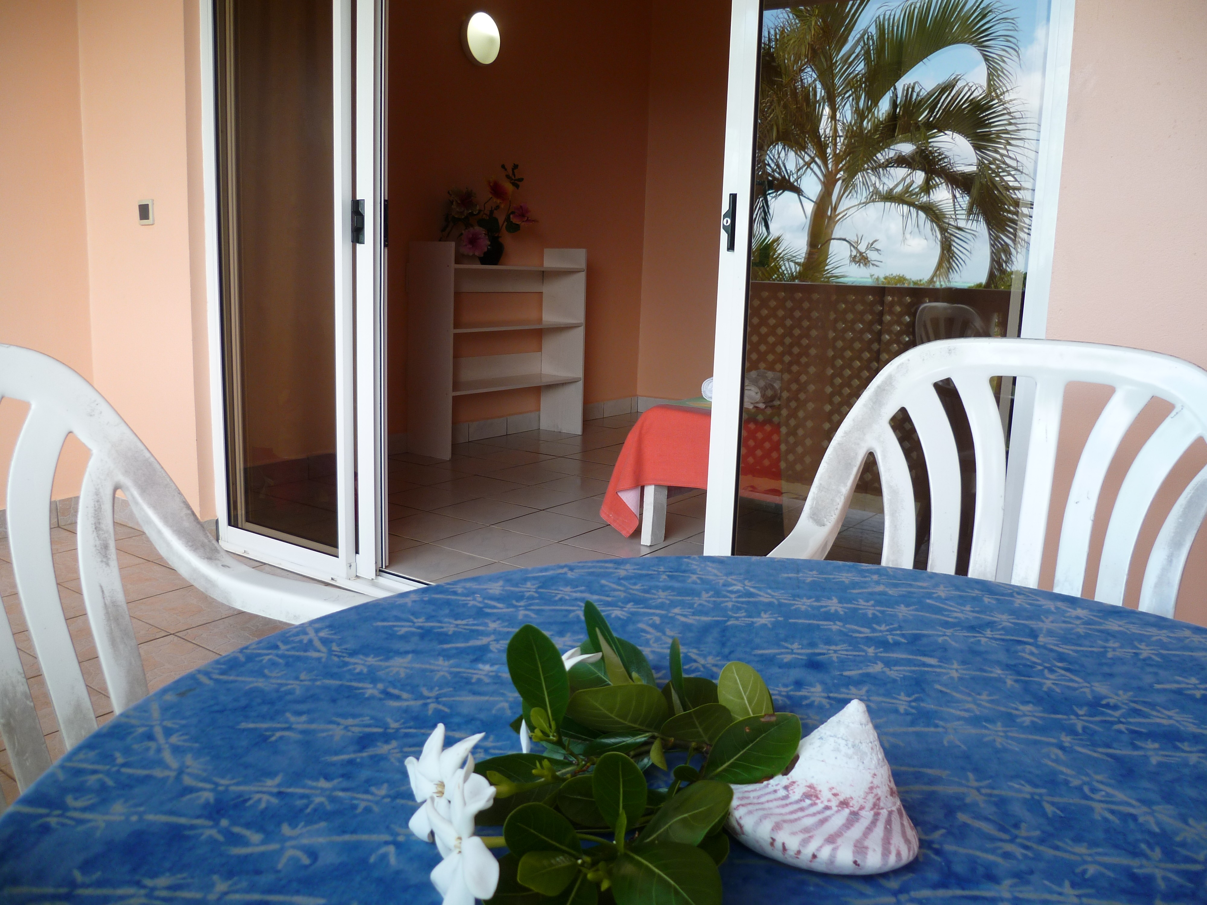 P1000332 copie