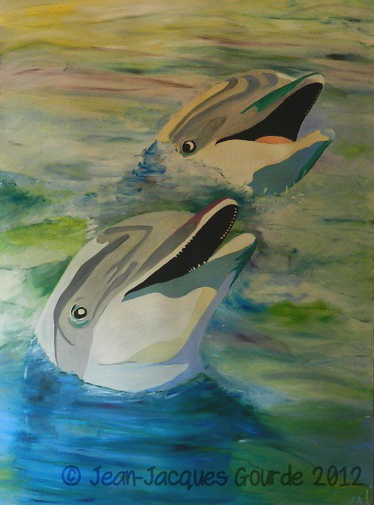 Dauphins r