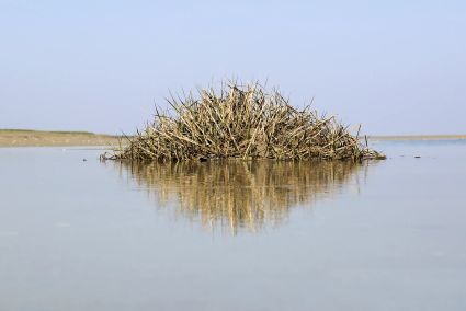 Baiser de la baie de somme 2018