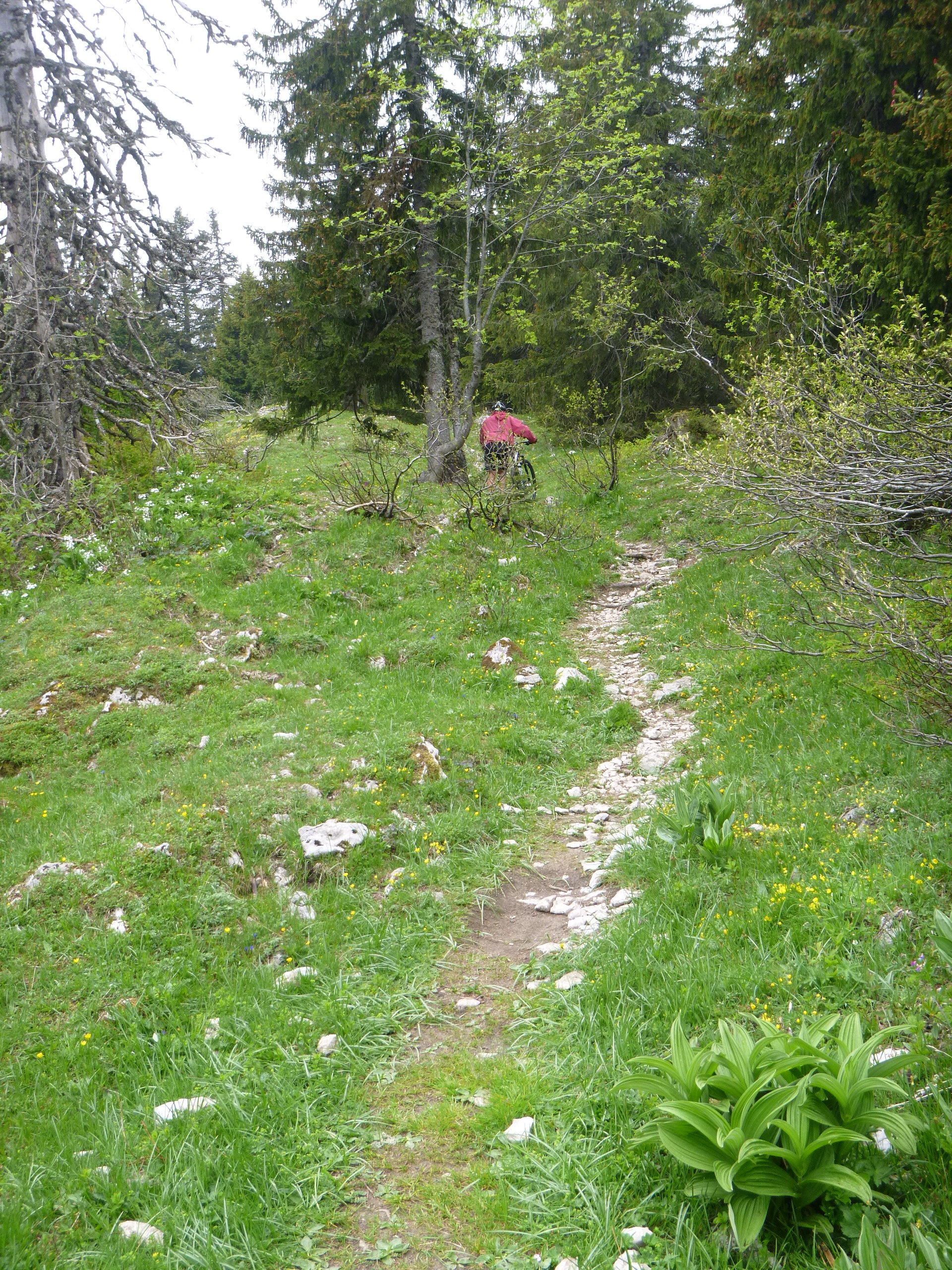 Mont sala par les pralets 022