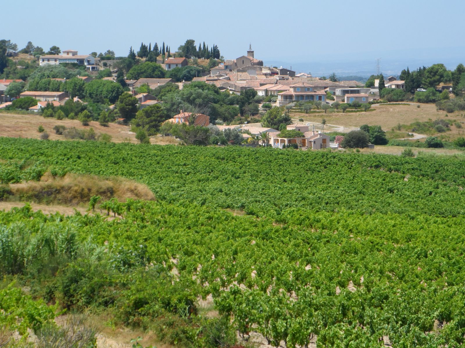 Montbrun des corbieres