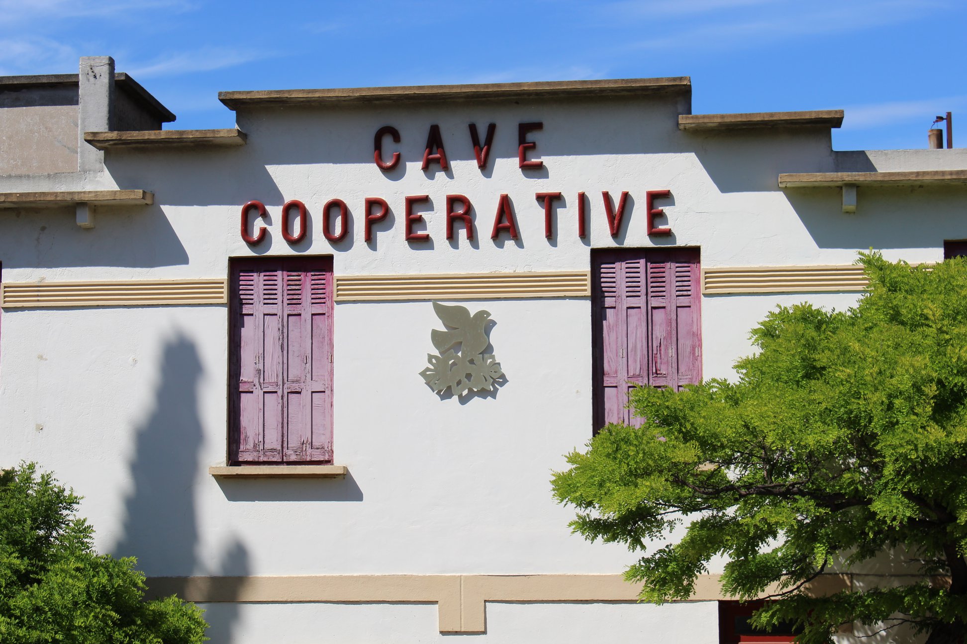 Cave coop  036724000 0950 04062020