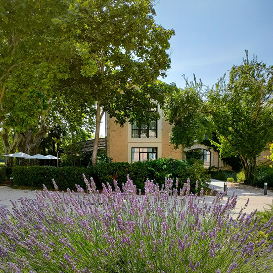 Chateau montcaud cadre 03