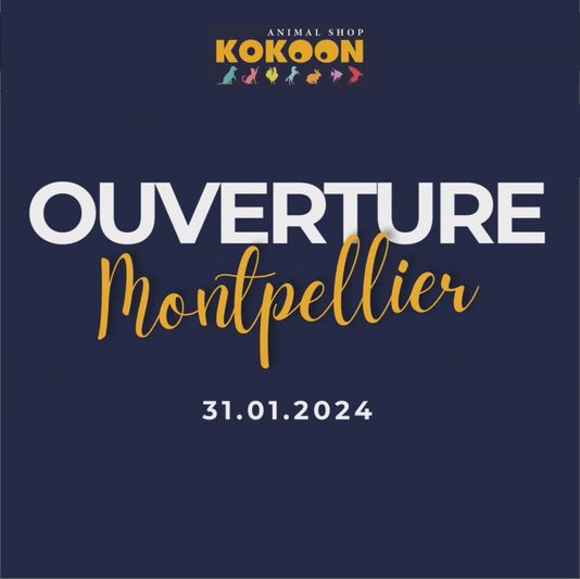 Ouverture Montpellier !