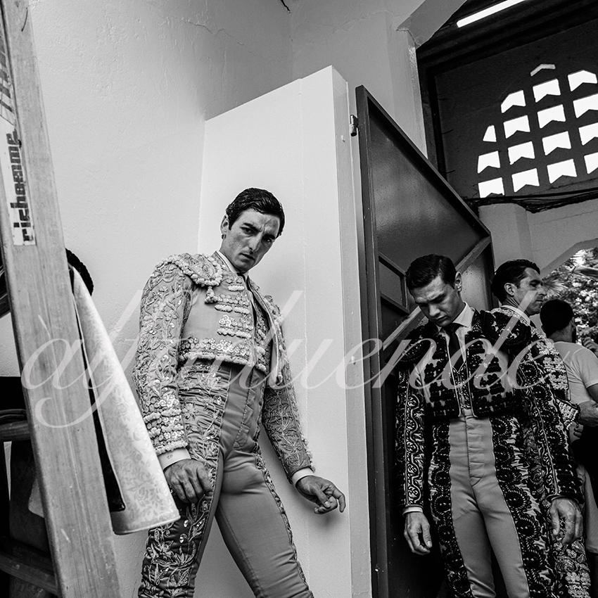 20210723 mt de marsan alfaduende 0004