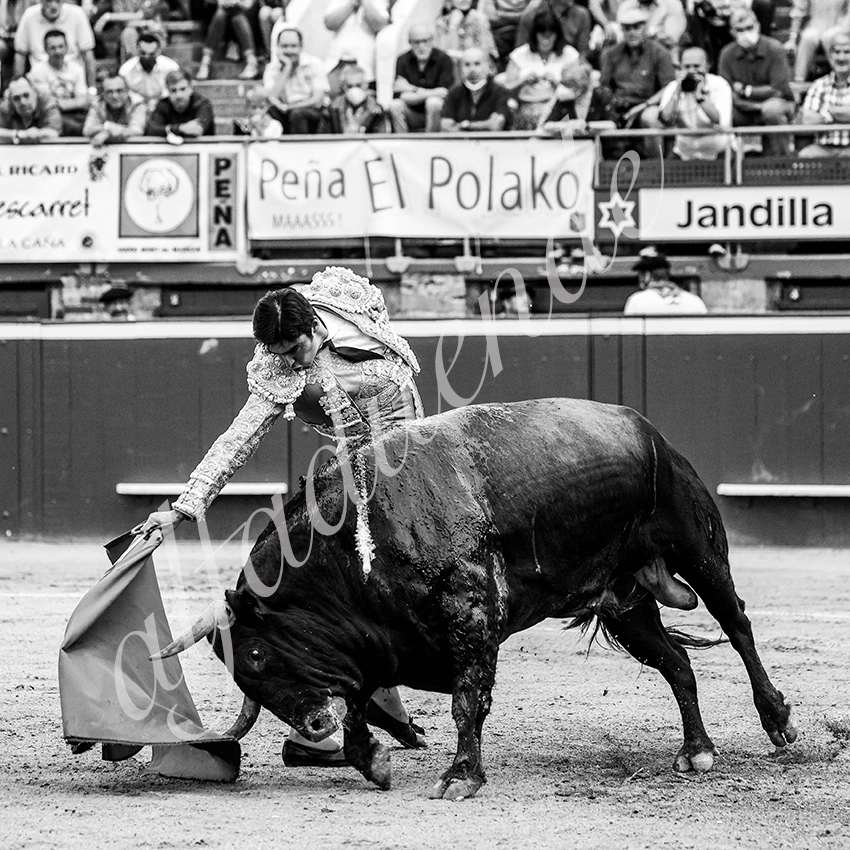 20210723 mt de marsan alfaduende 0005