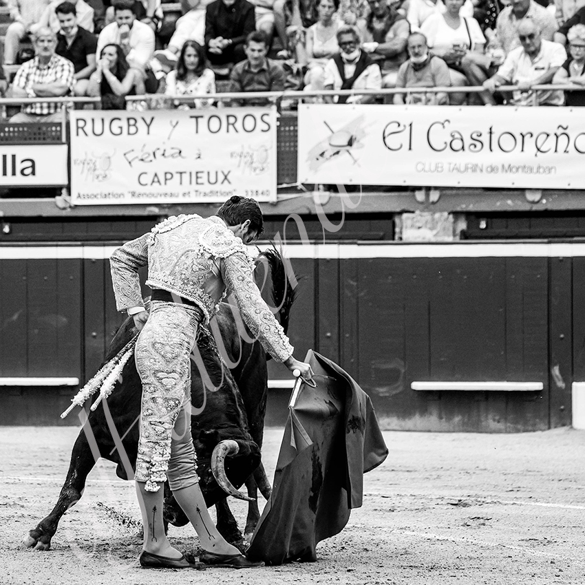 20210723 mt de marsan alfaduende 0006