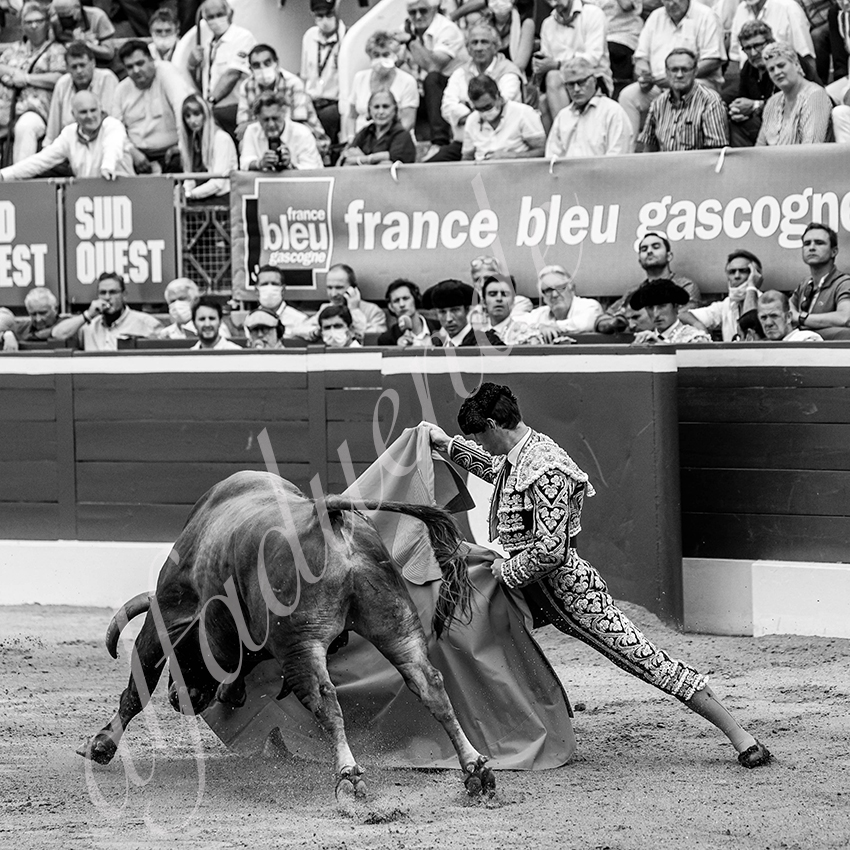 20210723 mt de marsan alfaduende 0007