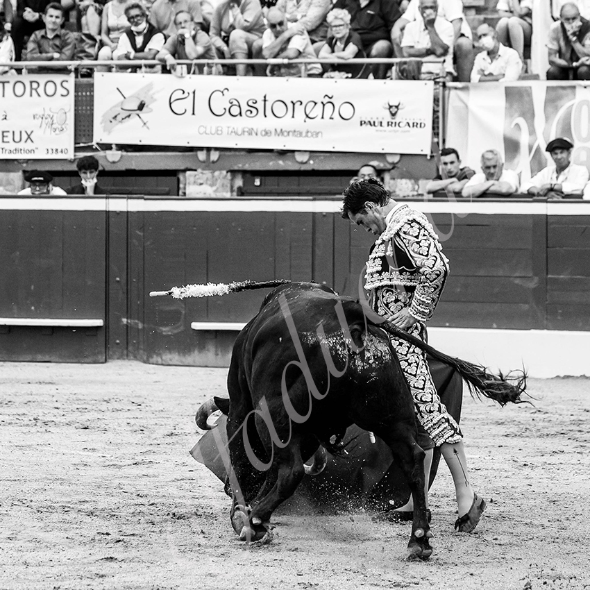 20210723 mt de marsan alfaduende 0009