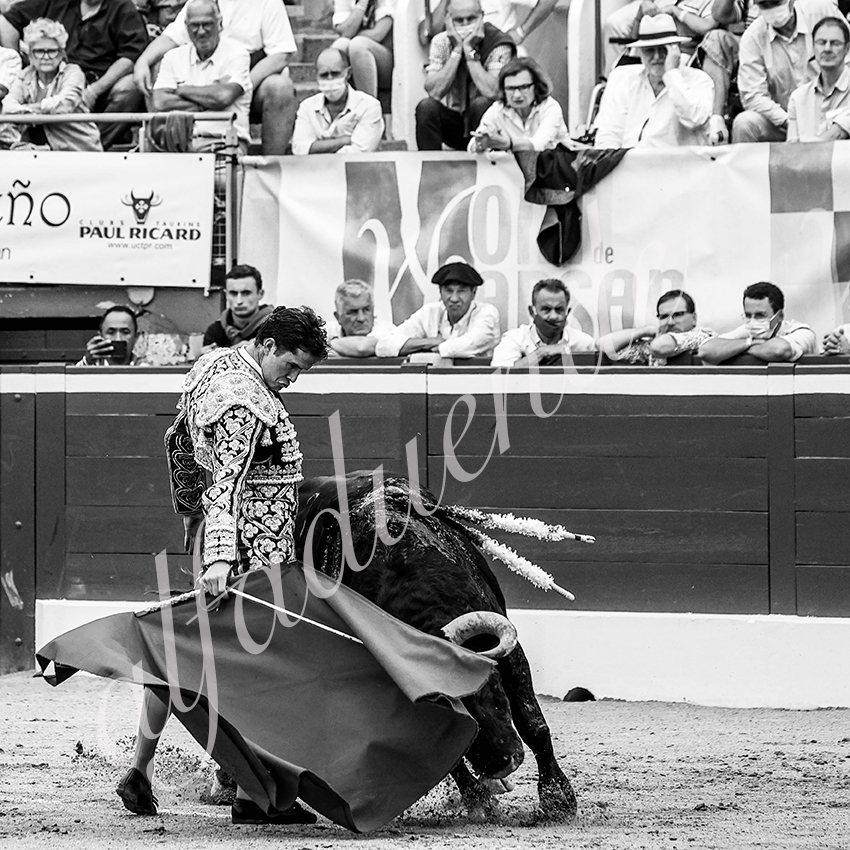 20210723 mt de marsan alfaduende 0010