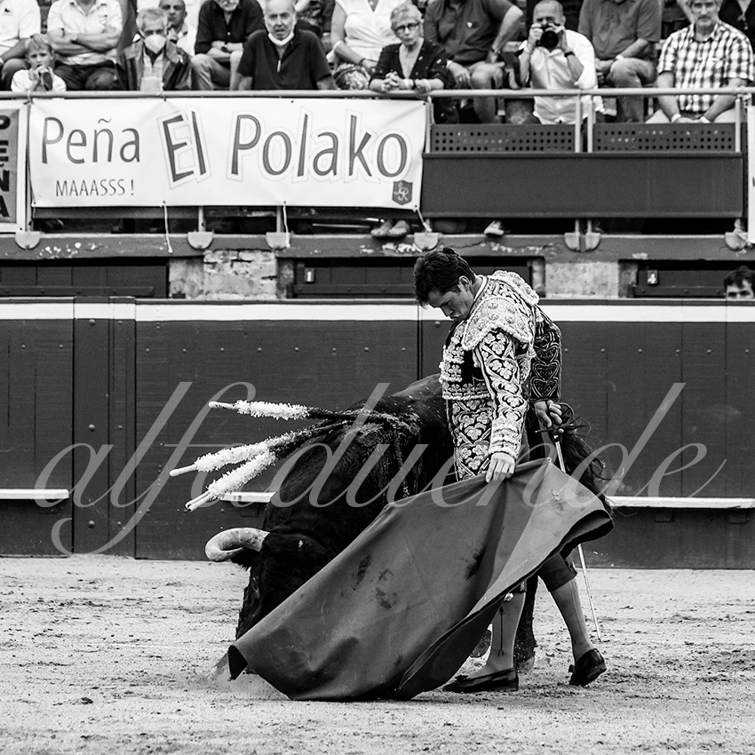 20210723 mt de marsan alfaduende 0011